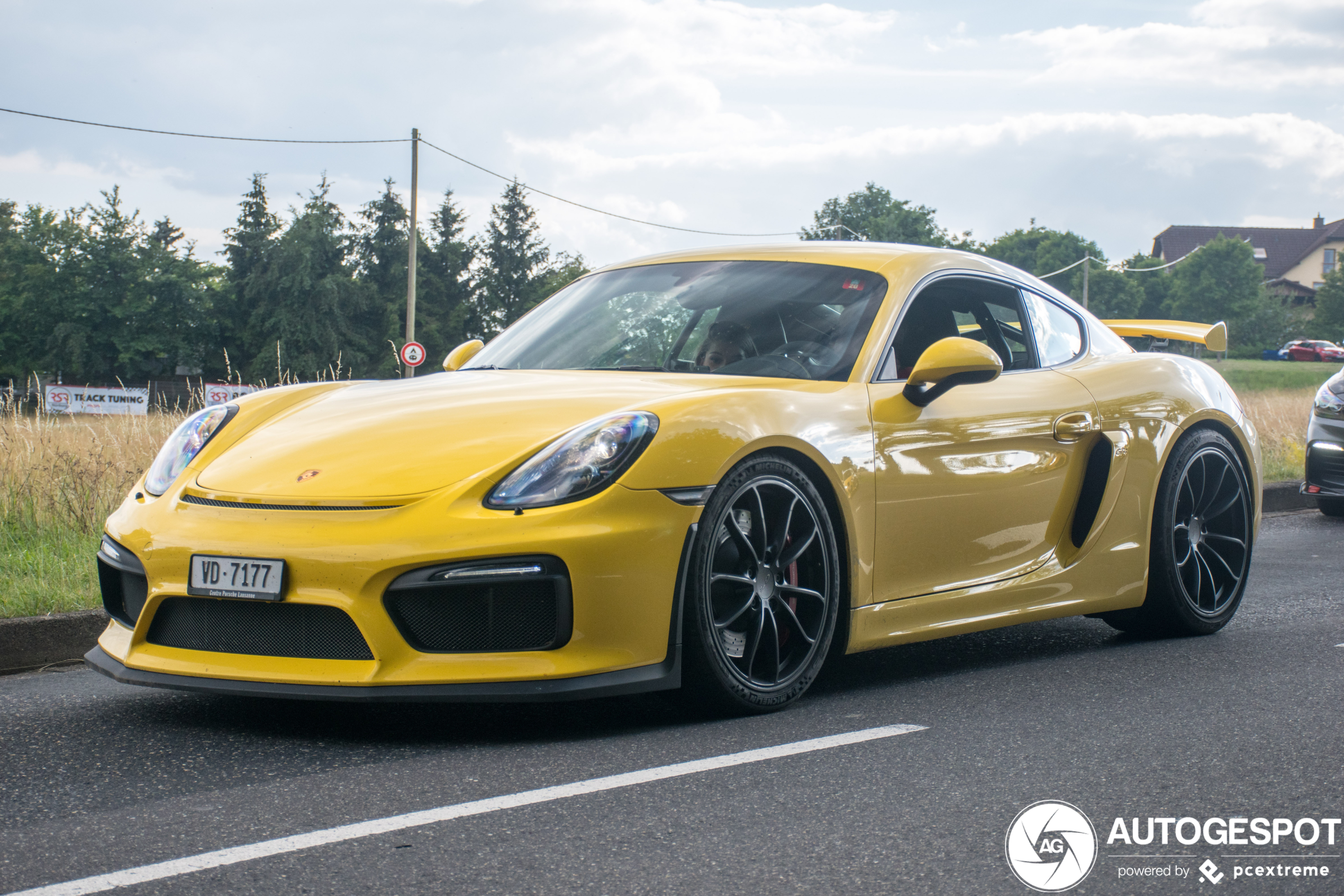 Porsche 981 Cayman GT4