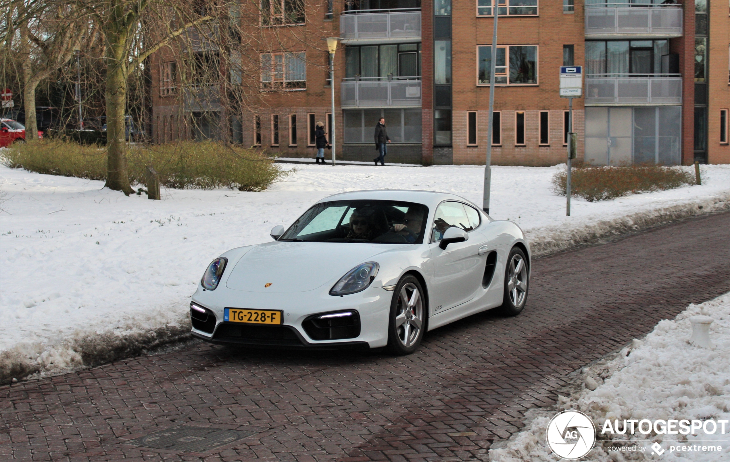 Porsche 981 Cayman GTS