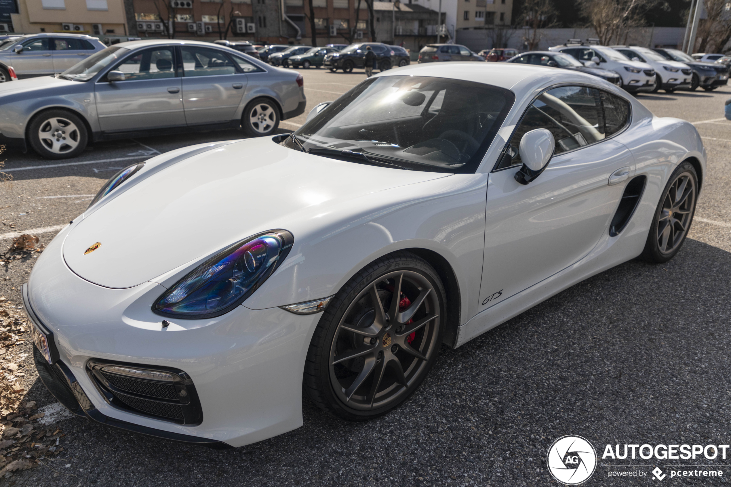 Porsche 981 CAYMAN GTS