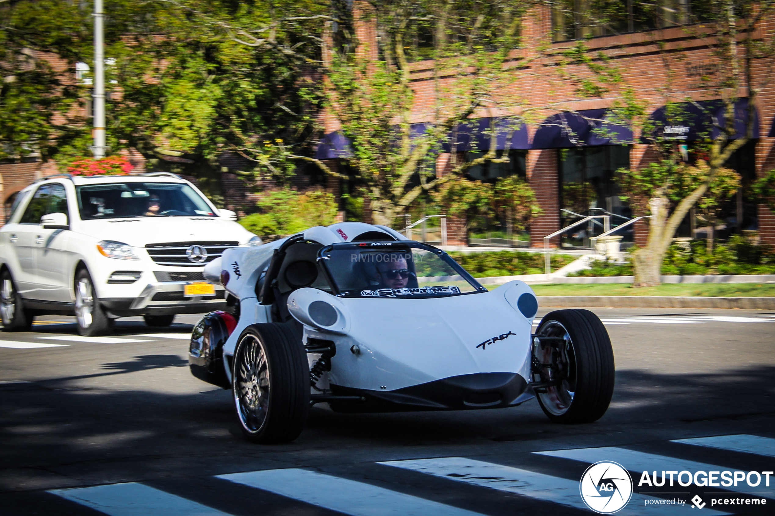 Campagna T-Rex