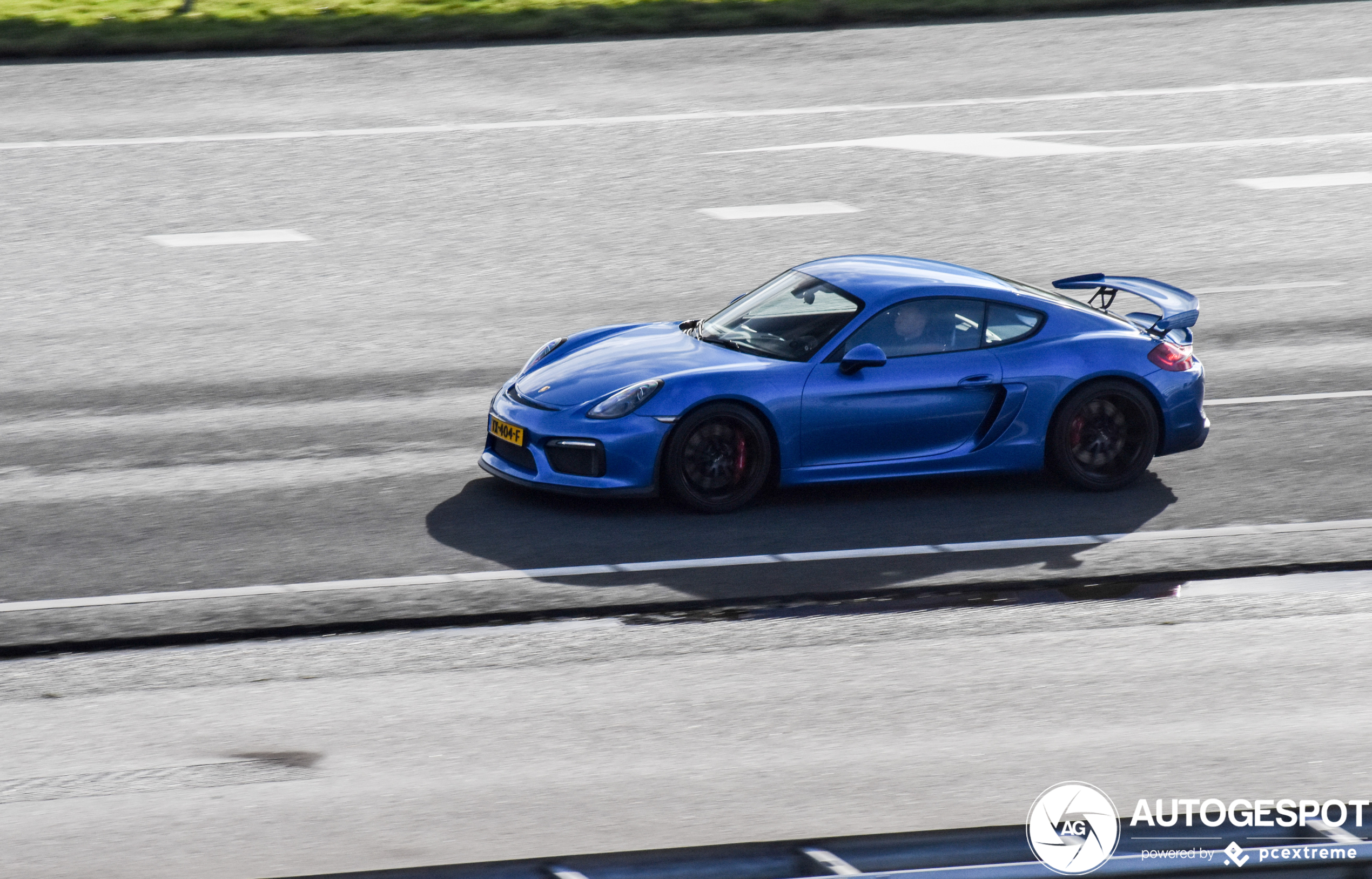 Porsche 981 Cayman GT4