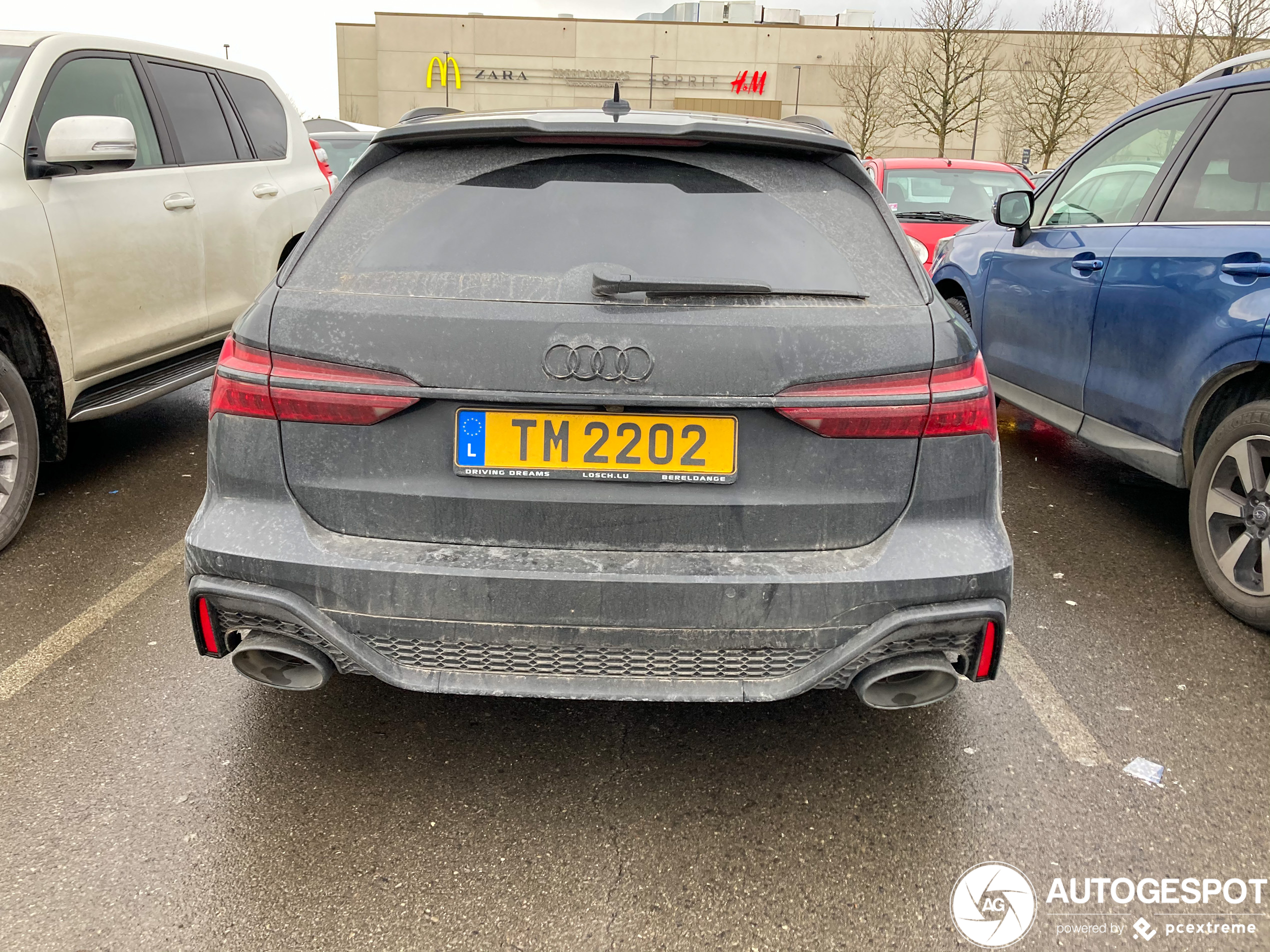 Audi RS6 Avant C8