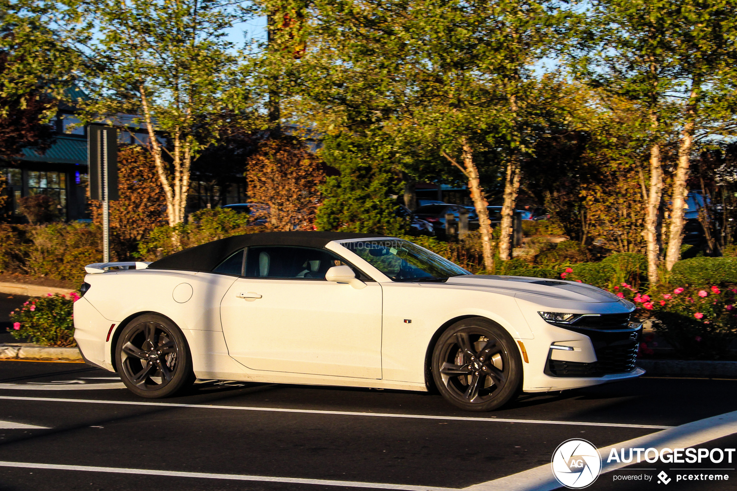 Chevrolet Camaro SS Convertible 2019