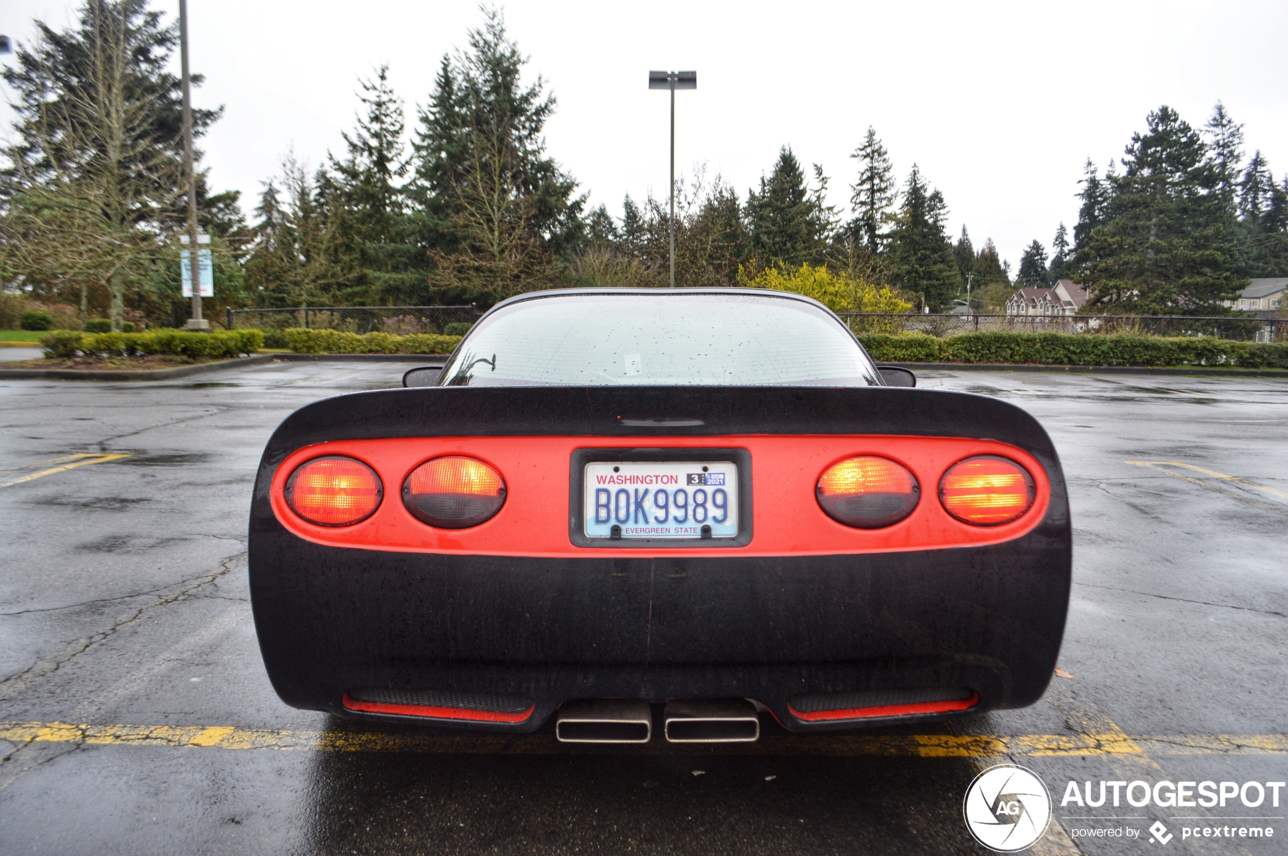 Chevrolet Corvette C5 Tiger Shark