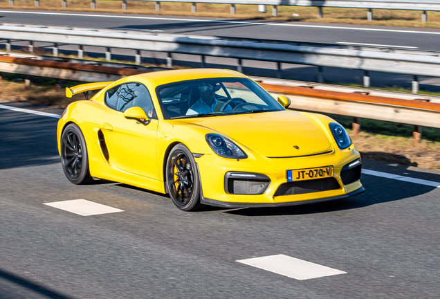 Porsche 981 Cayman GT4