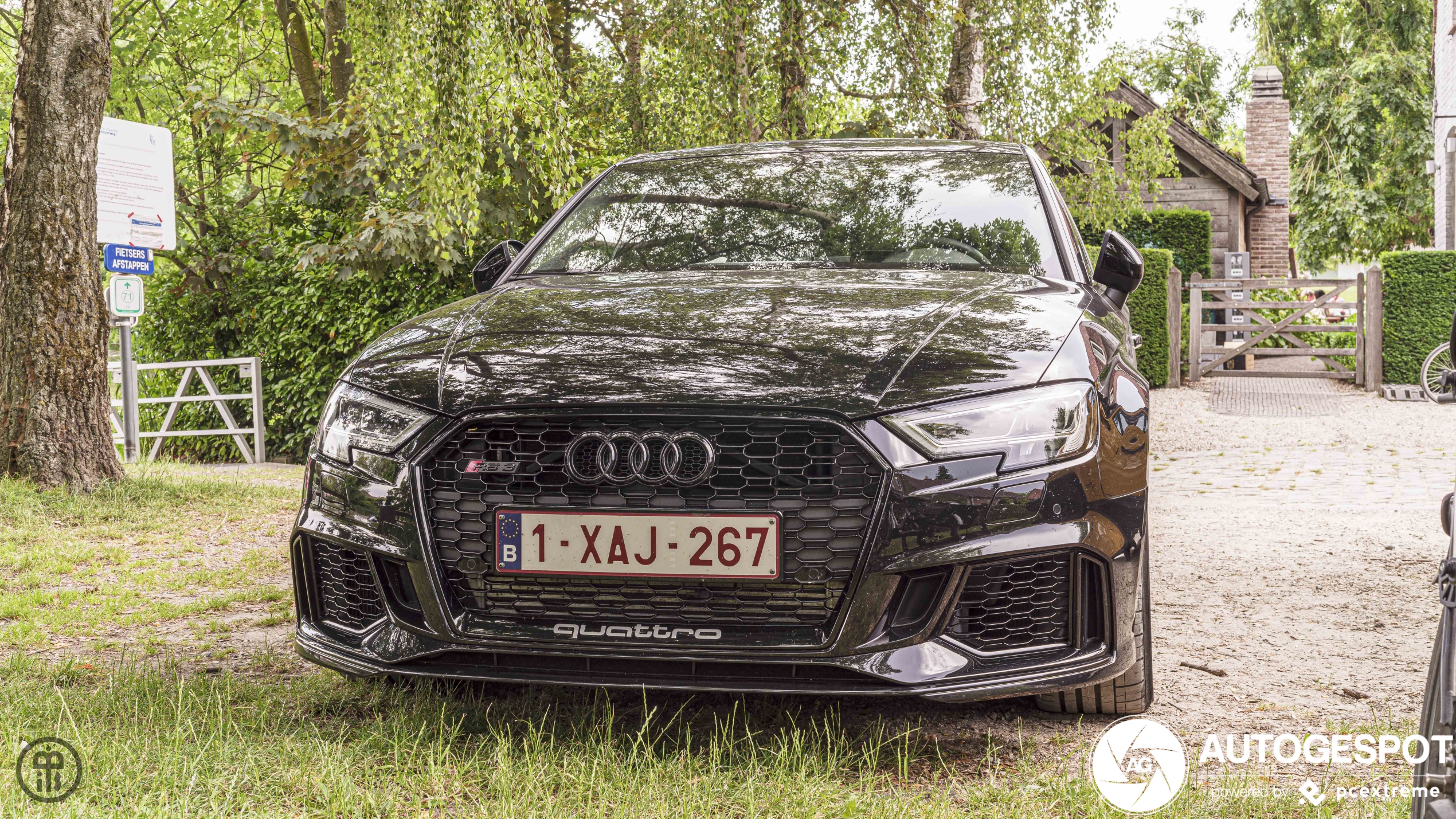 Audi RS3 Sedan 8V