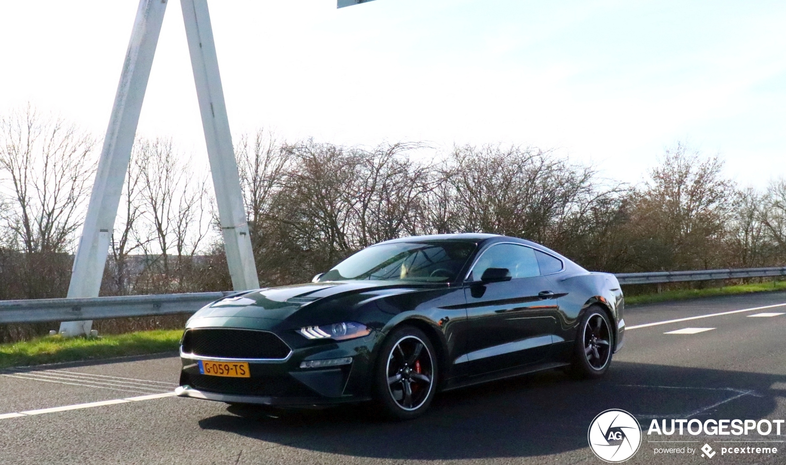 Ford Mustang Bullitt 2019