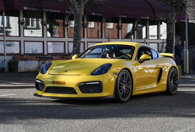 Porsche 981 Cayman GT4