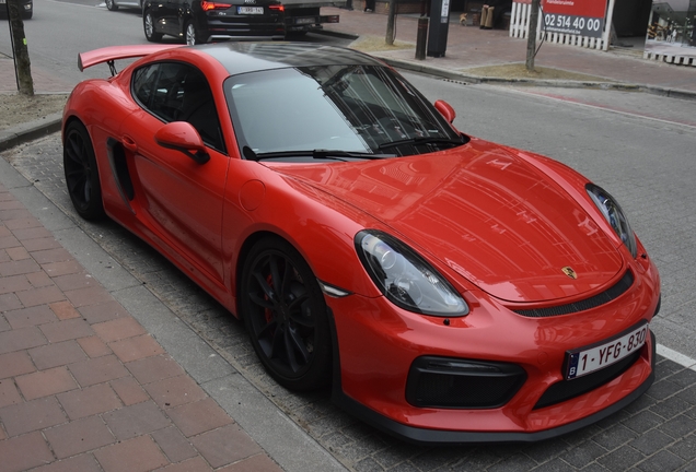 Porsche 981 Cayman GT4