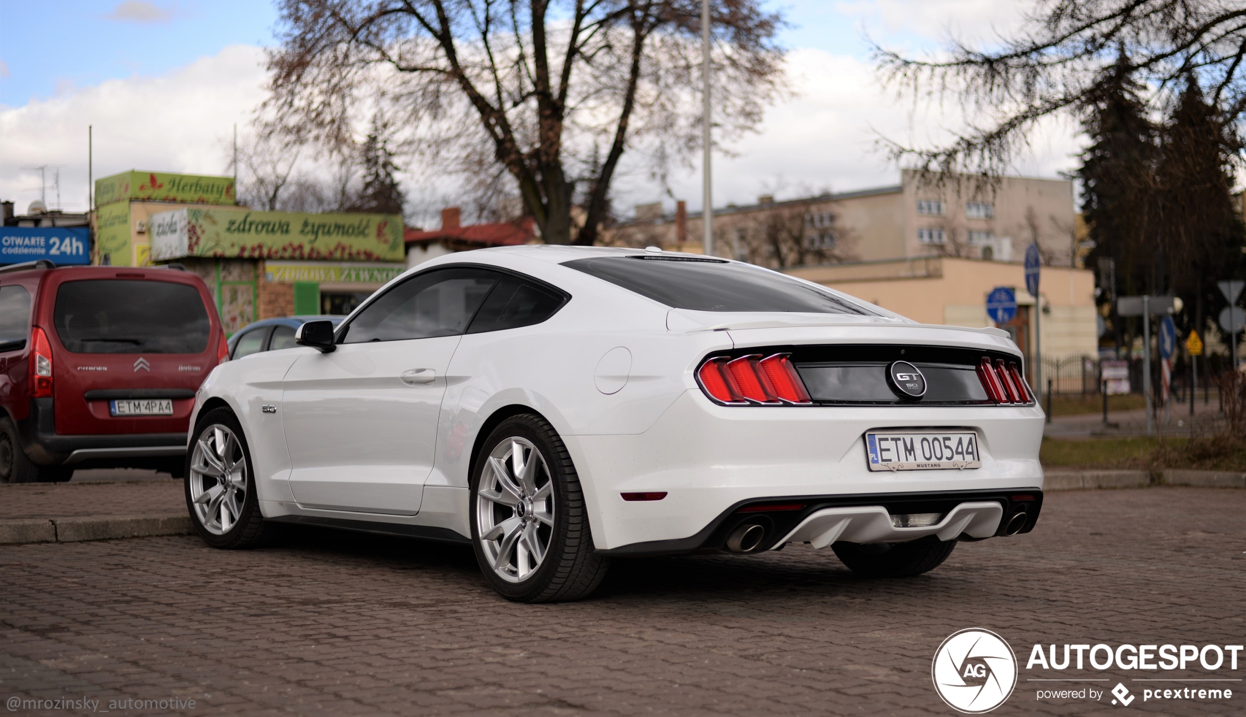 Ford Mustang GT 50th Anniversary Edition