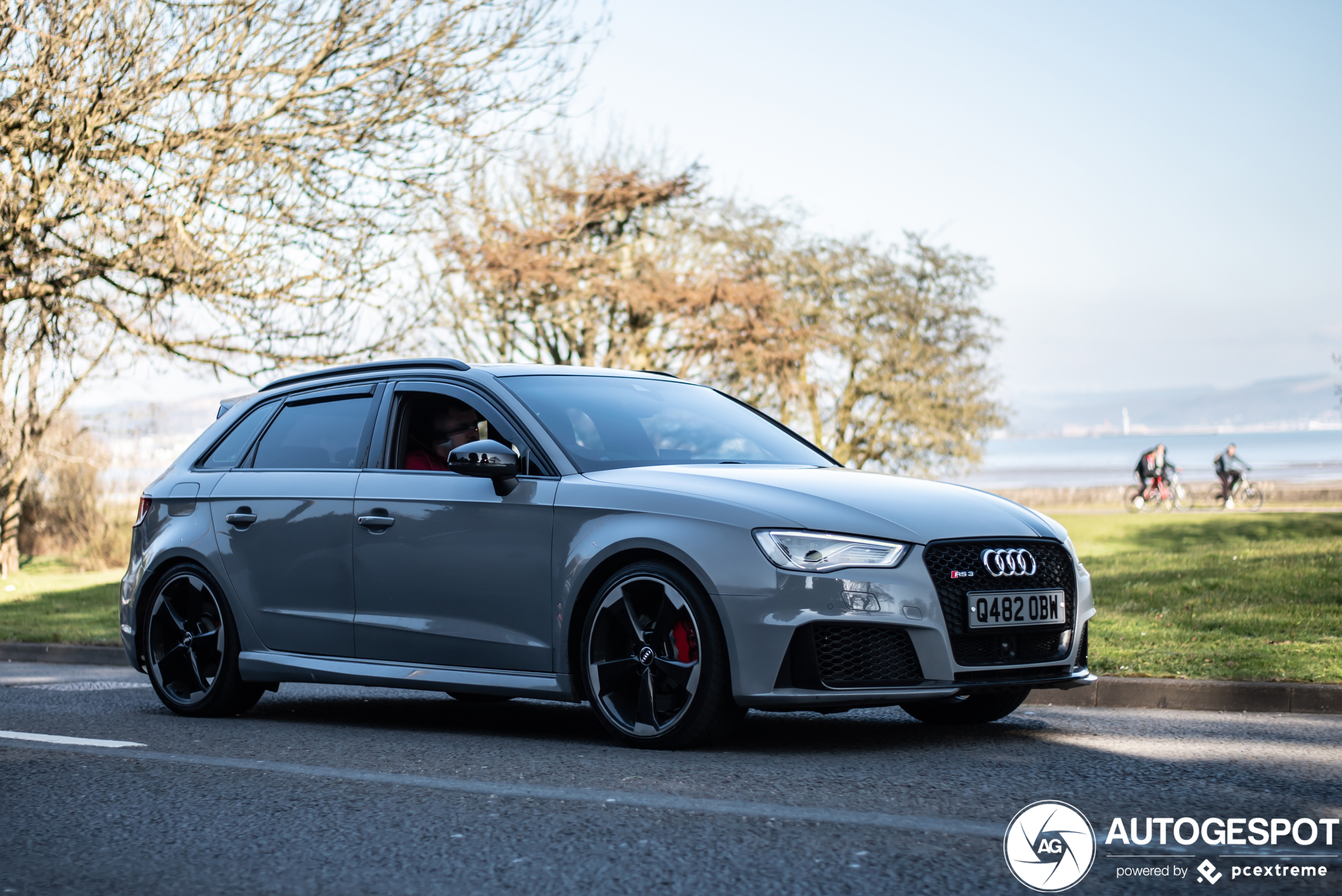 Audi RS3 Sportback 8V