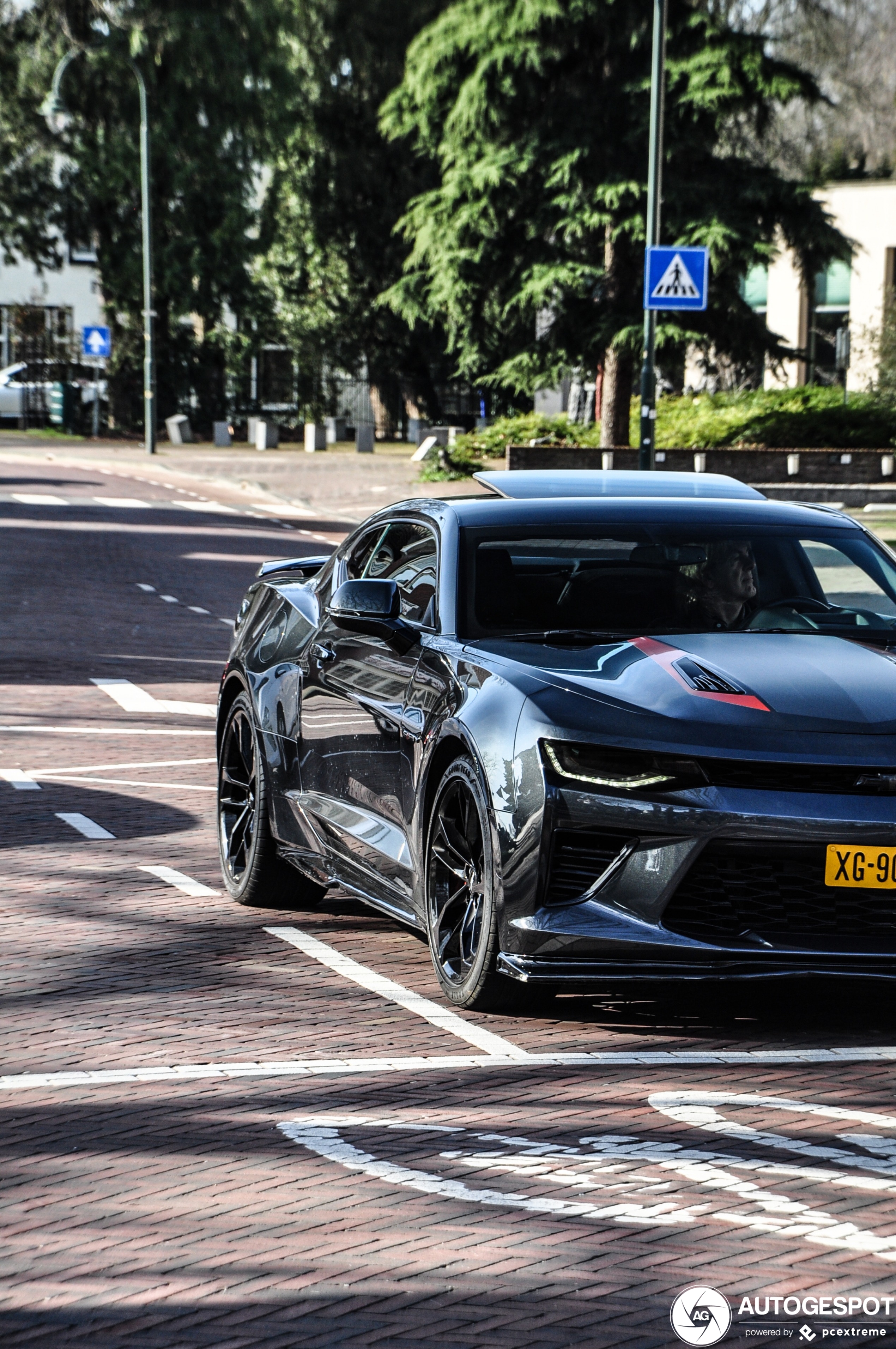 Chevrolet Camaro SS 2016 50th Anniversary