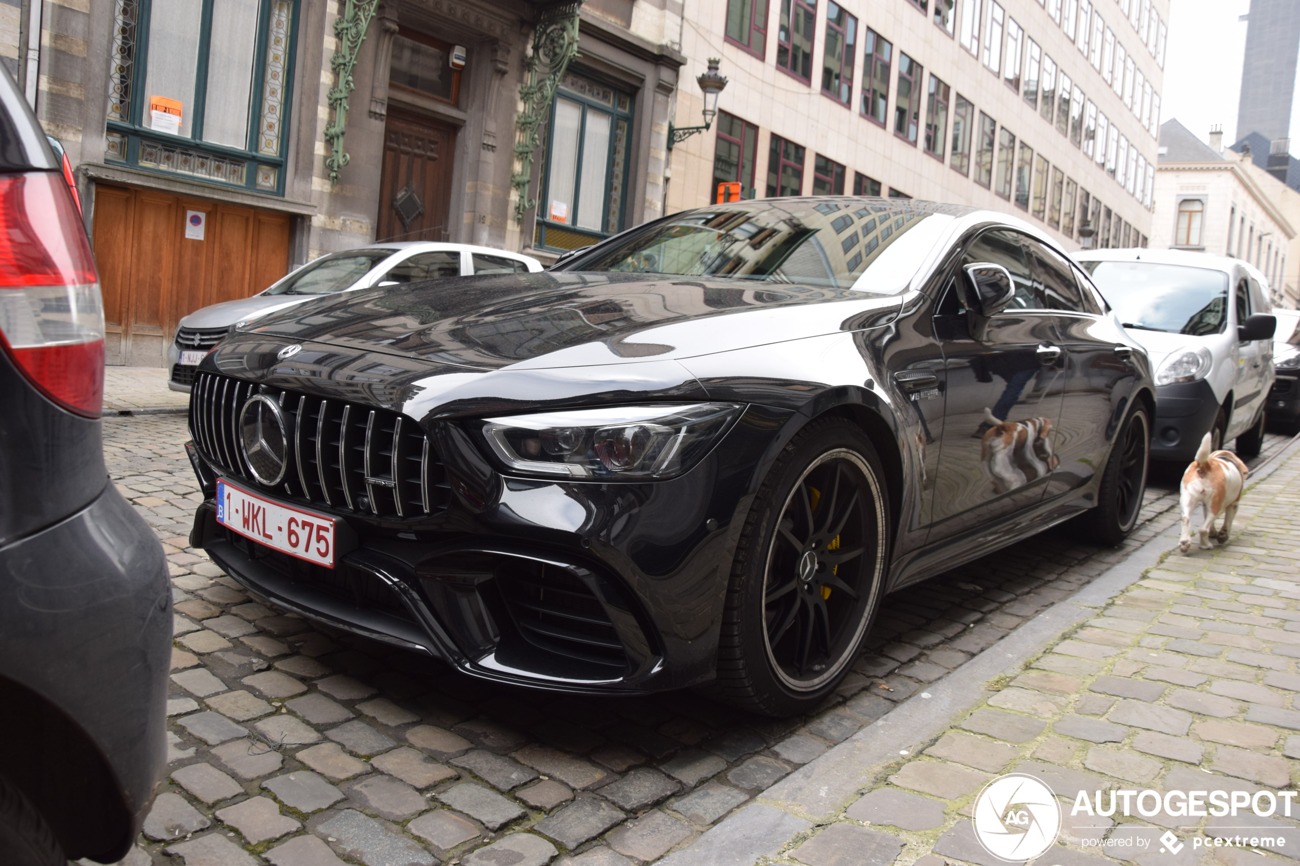 Mercedes-AMG GT 63 X290