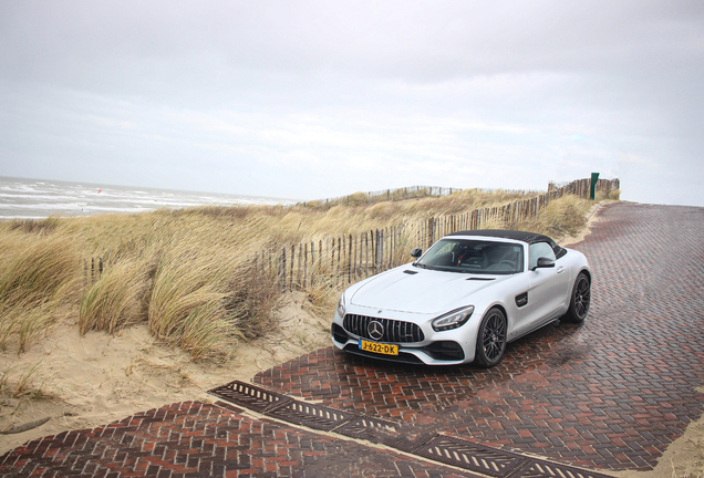 Mercedes-AMG GT Roadster R190 2019