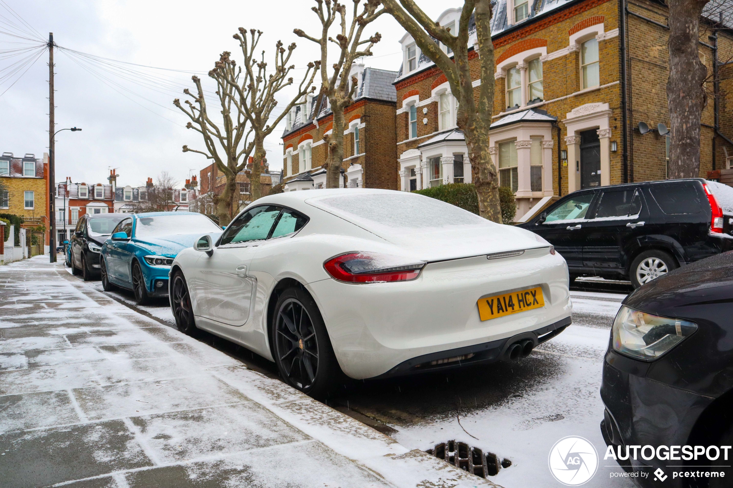 Porsche 981 Cayman S