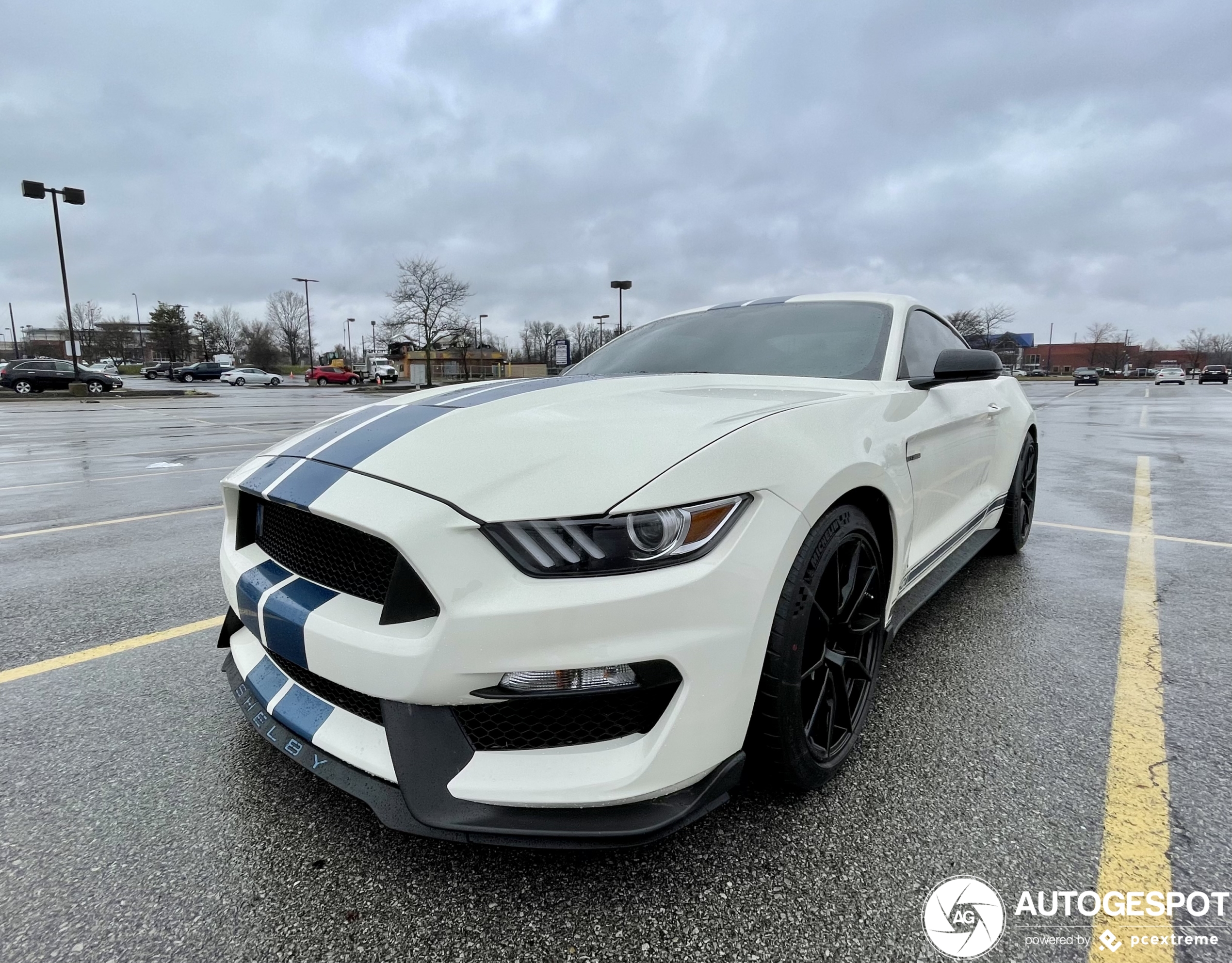 Ford Mustang Shelby GT350 Heritage Edition 2020