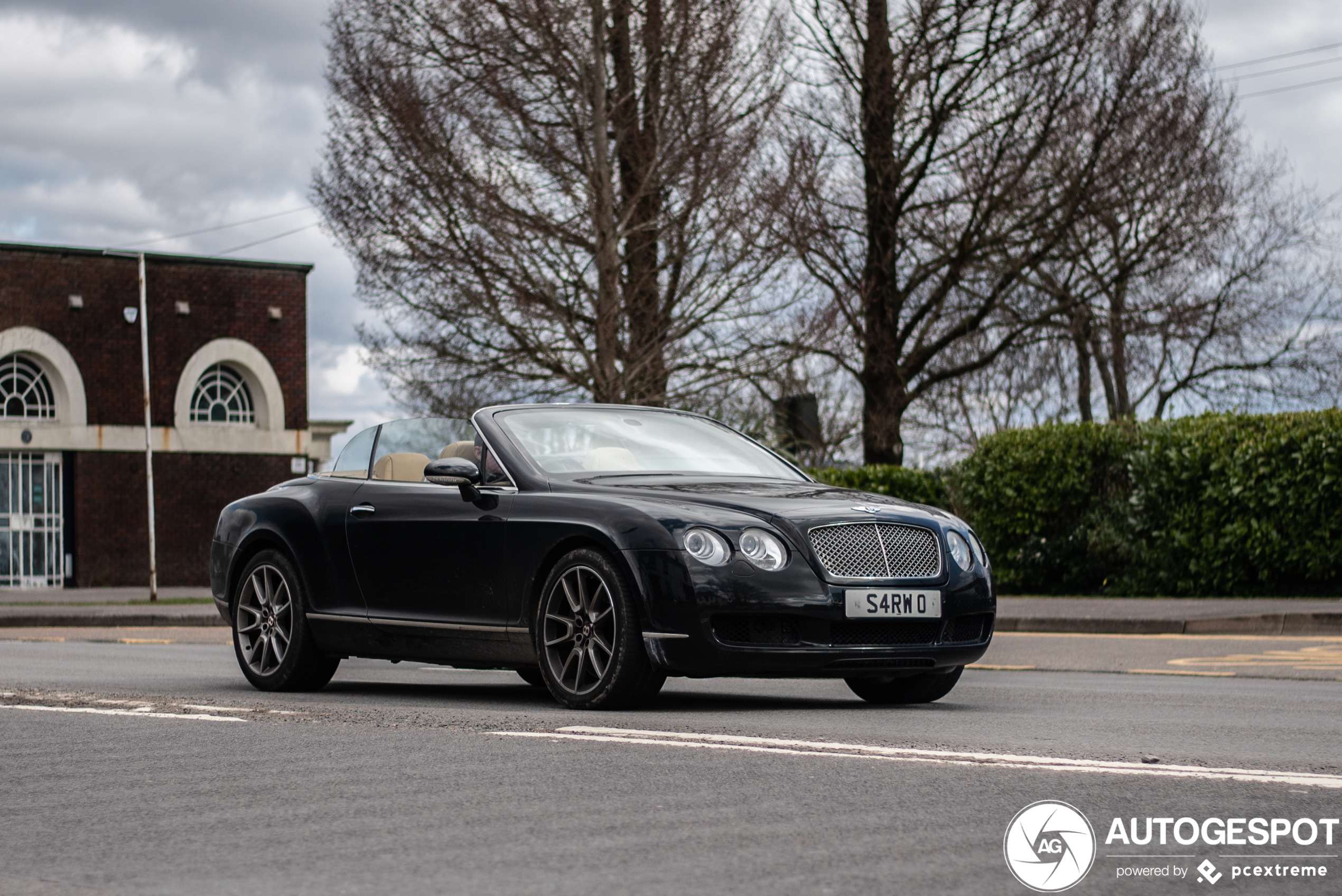 Bentley Continental GTC