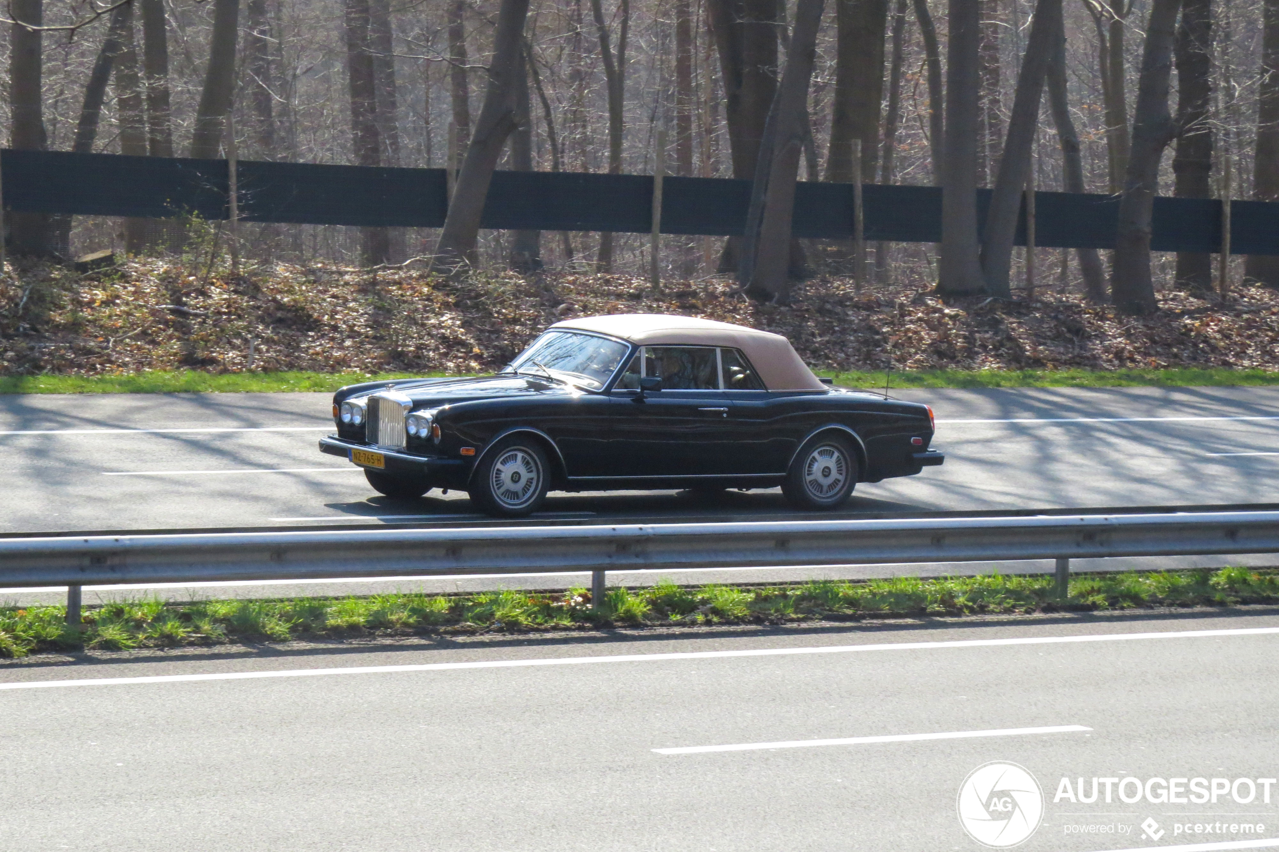 Bentley Continental Convertible