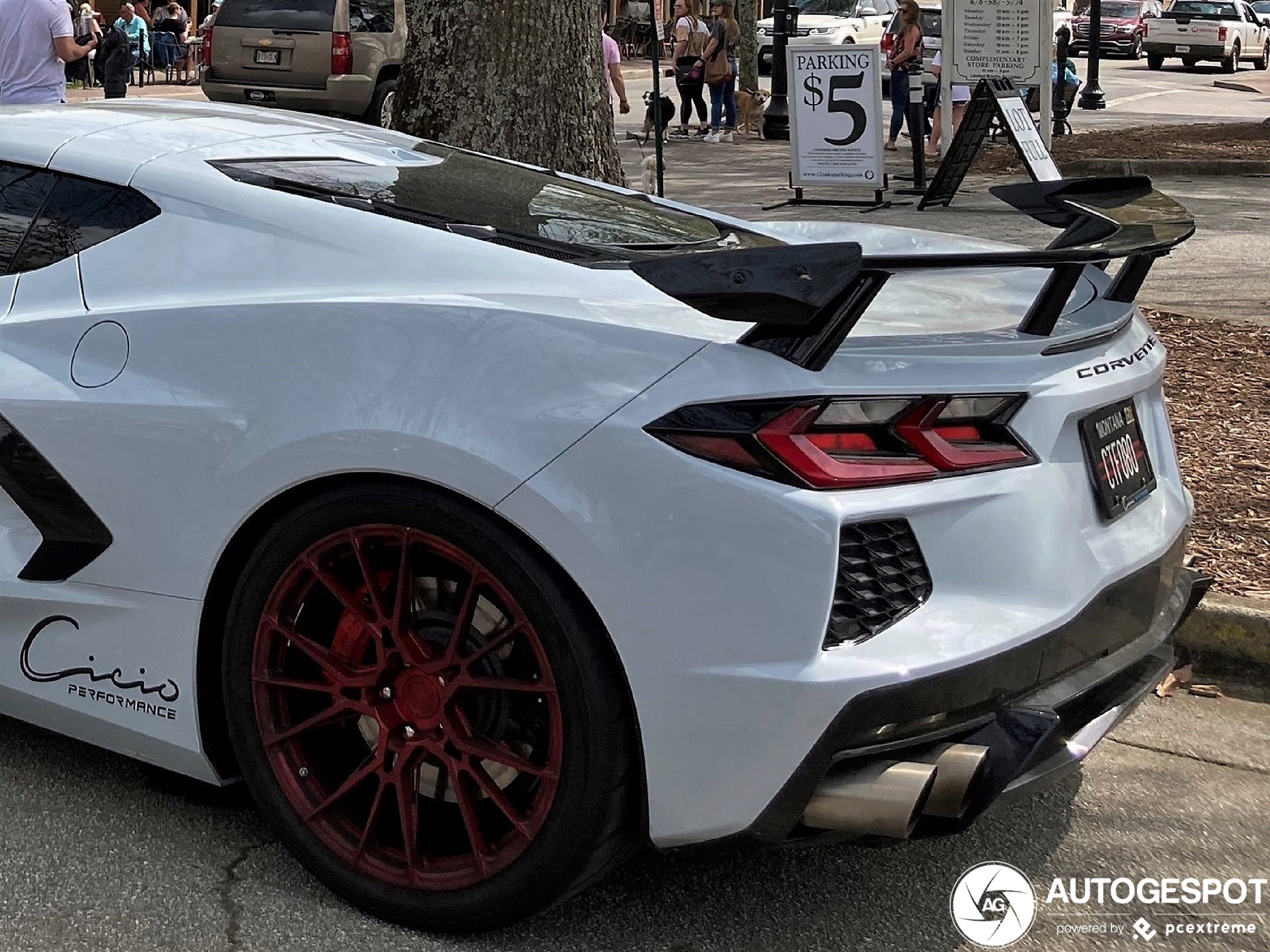 Chevrolet Corvette C8 Cicio Performance