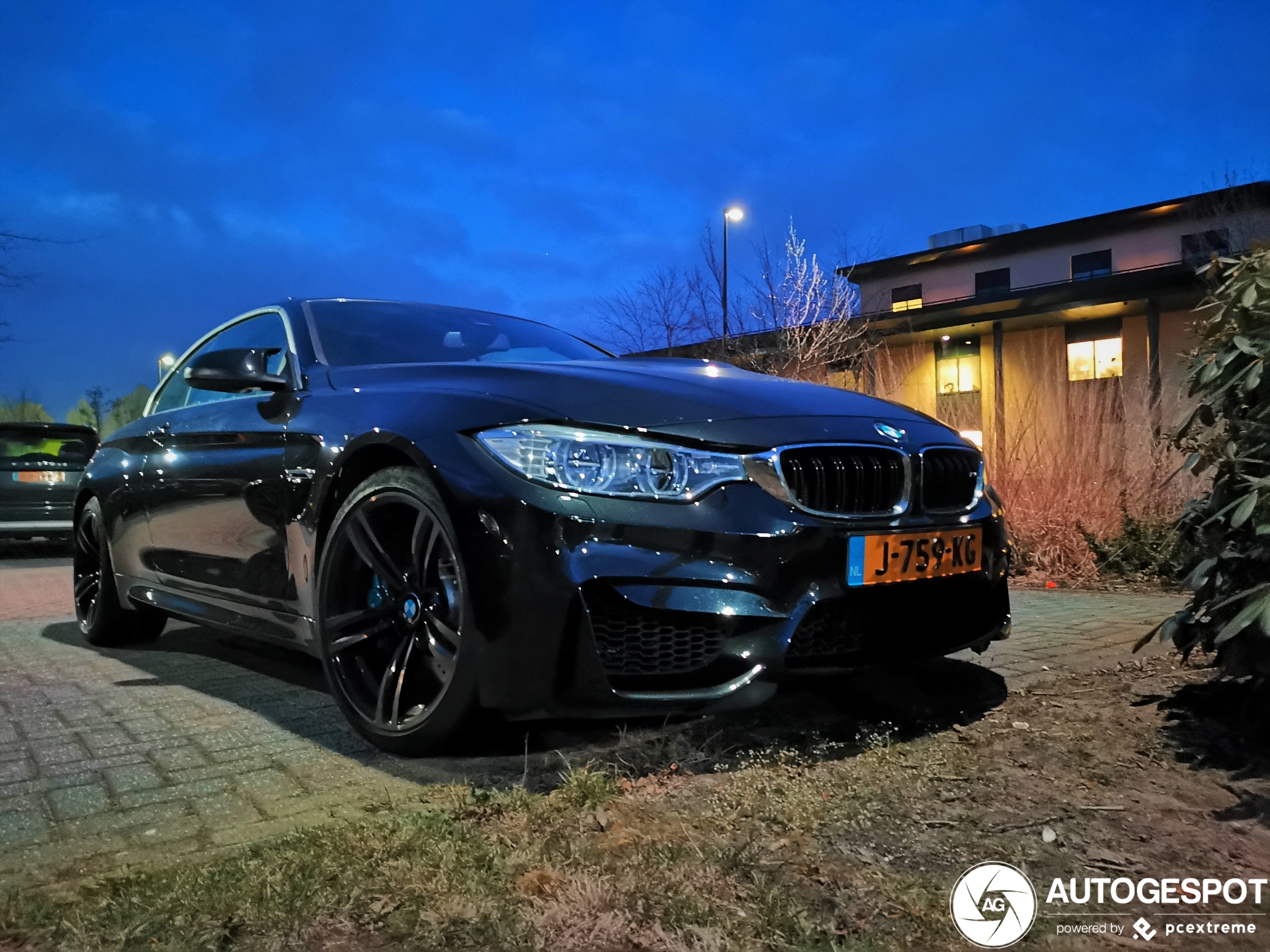 BMW M4 F83 Convertible