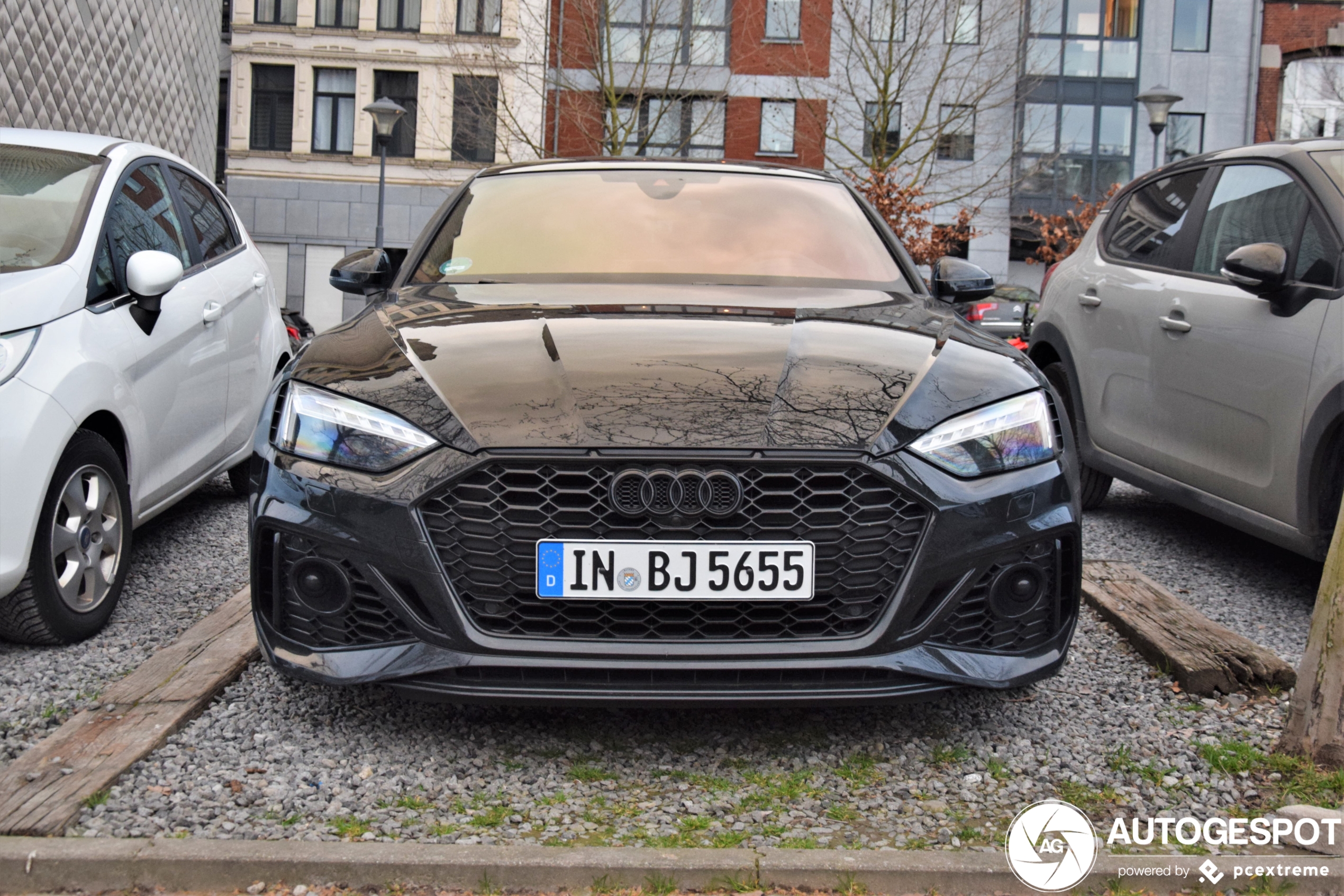 Audi RS5 Sportback B9 2021