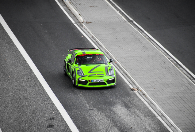 Porsche 981 Cayman GT4