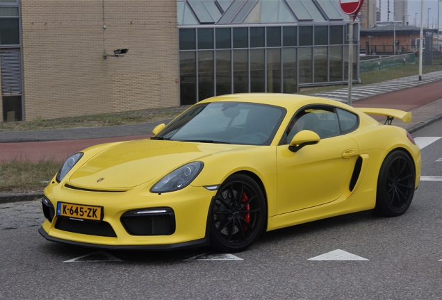 Porsche 981 Cayman GT4