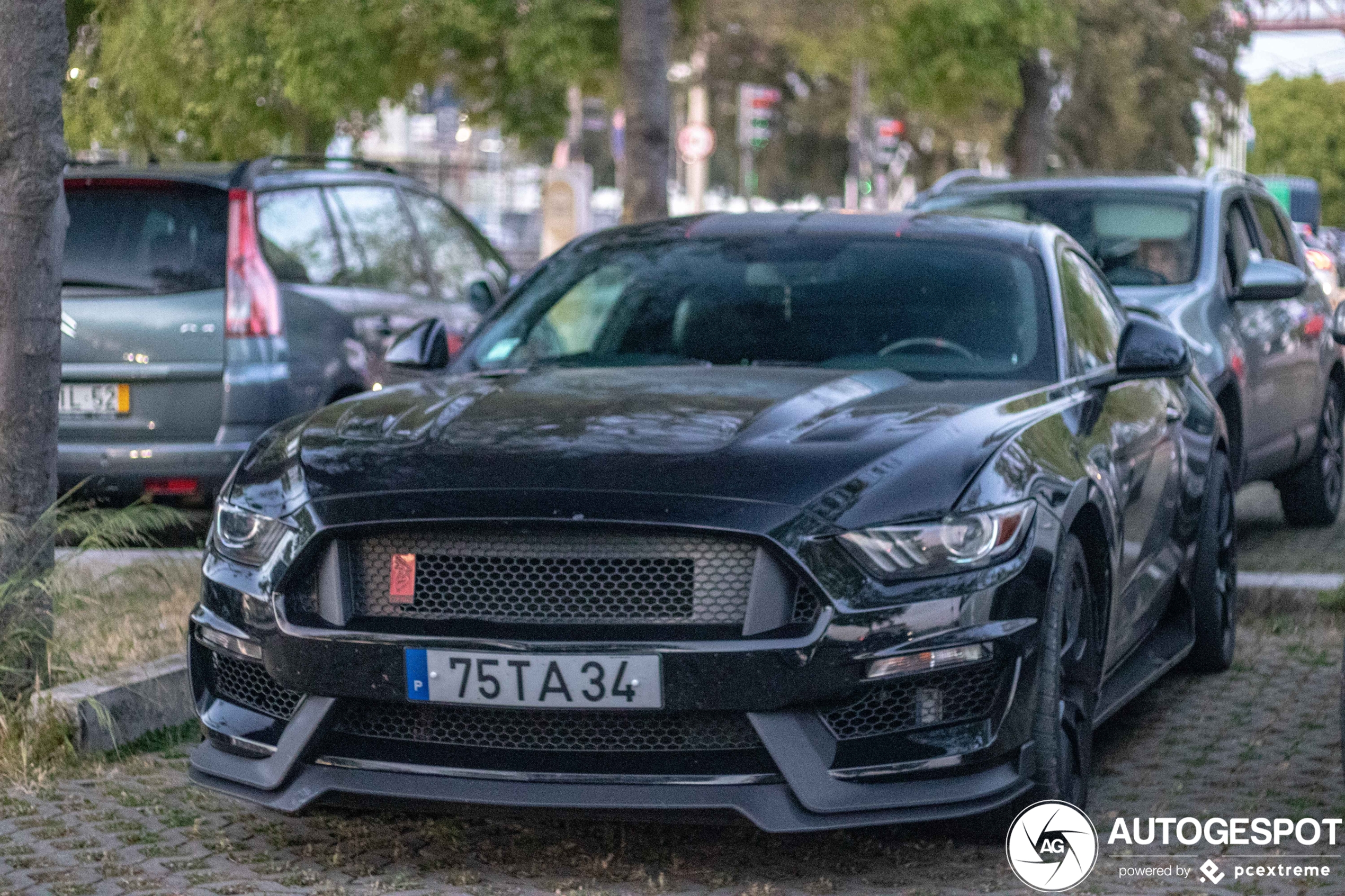 Ford Mustang GT 50th Anniversary Edition