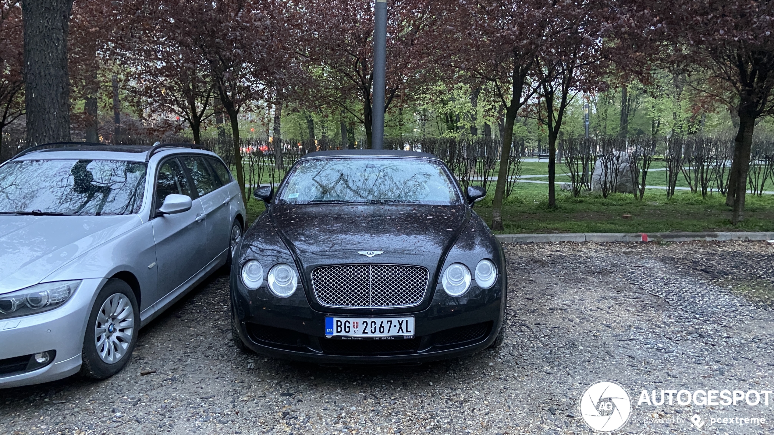 Bentley Continental GTC