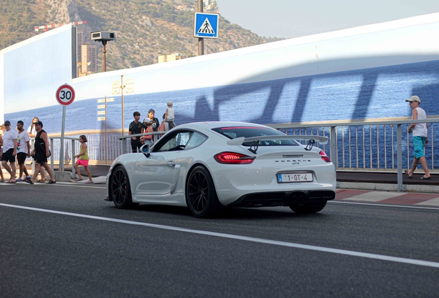 Porsche 981 Cayman GT4