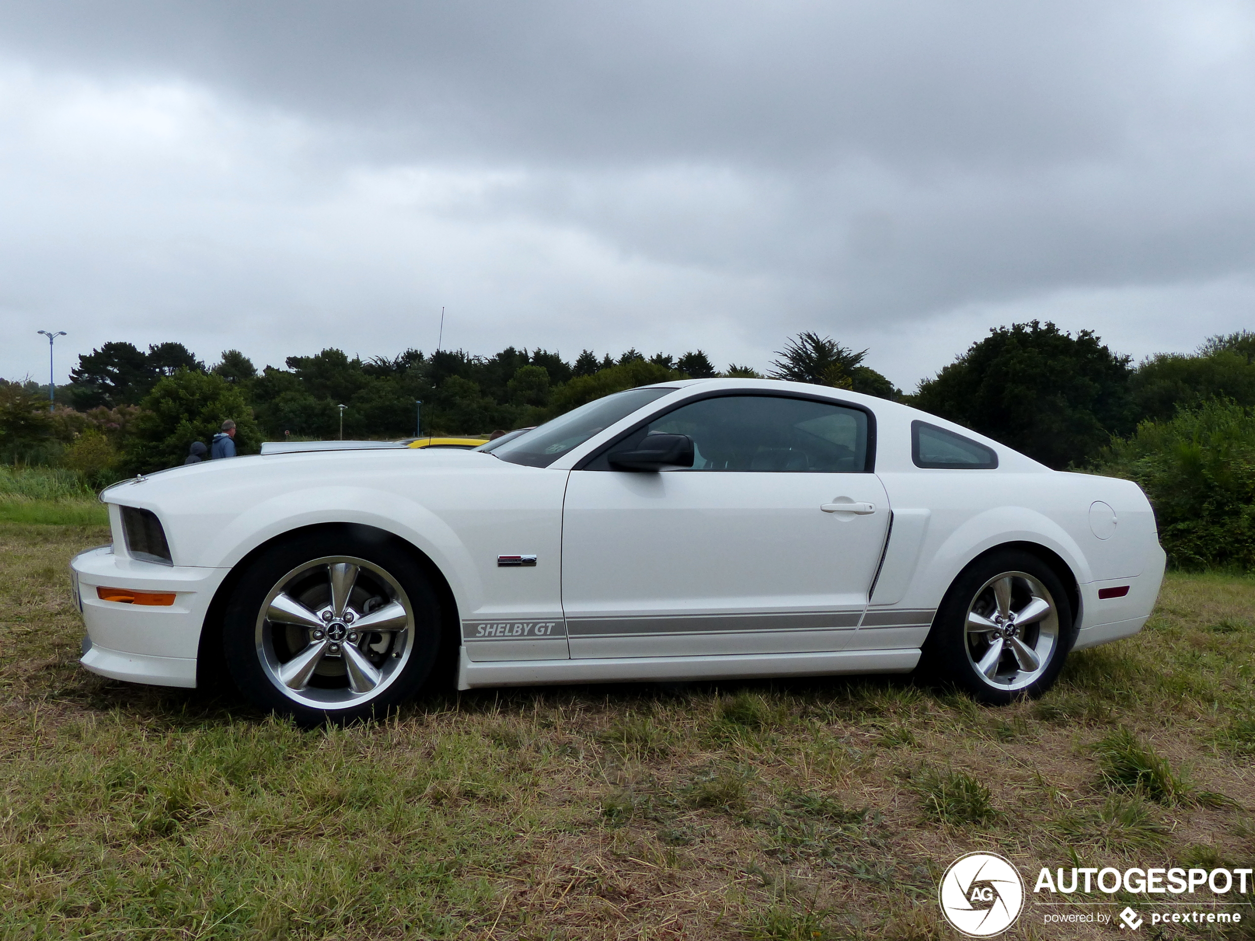 Ford Mustang Shelby GT