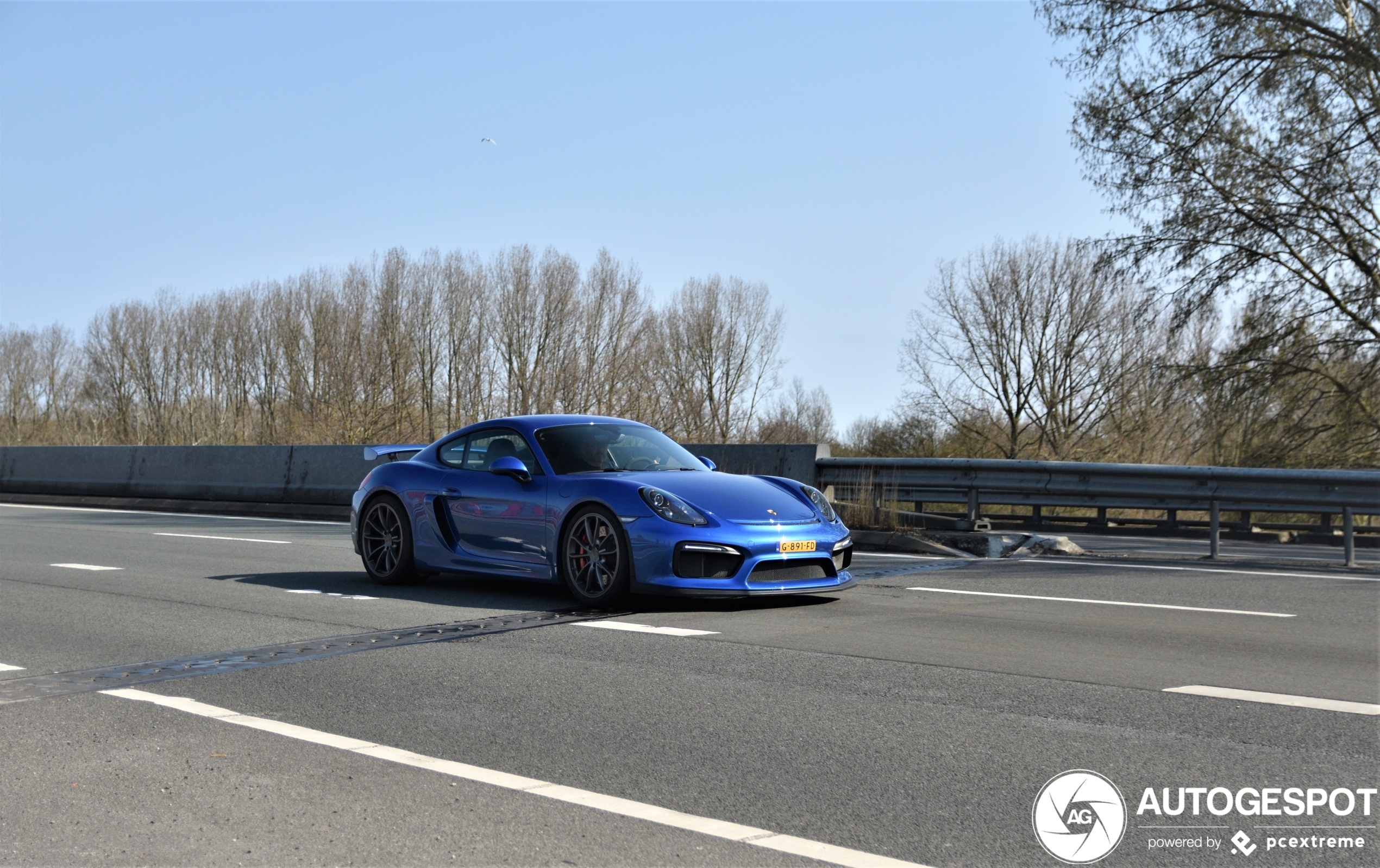 Porsche 981 Cayman GT4