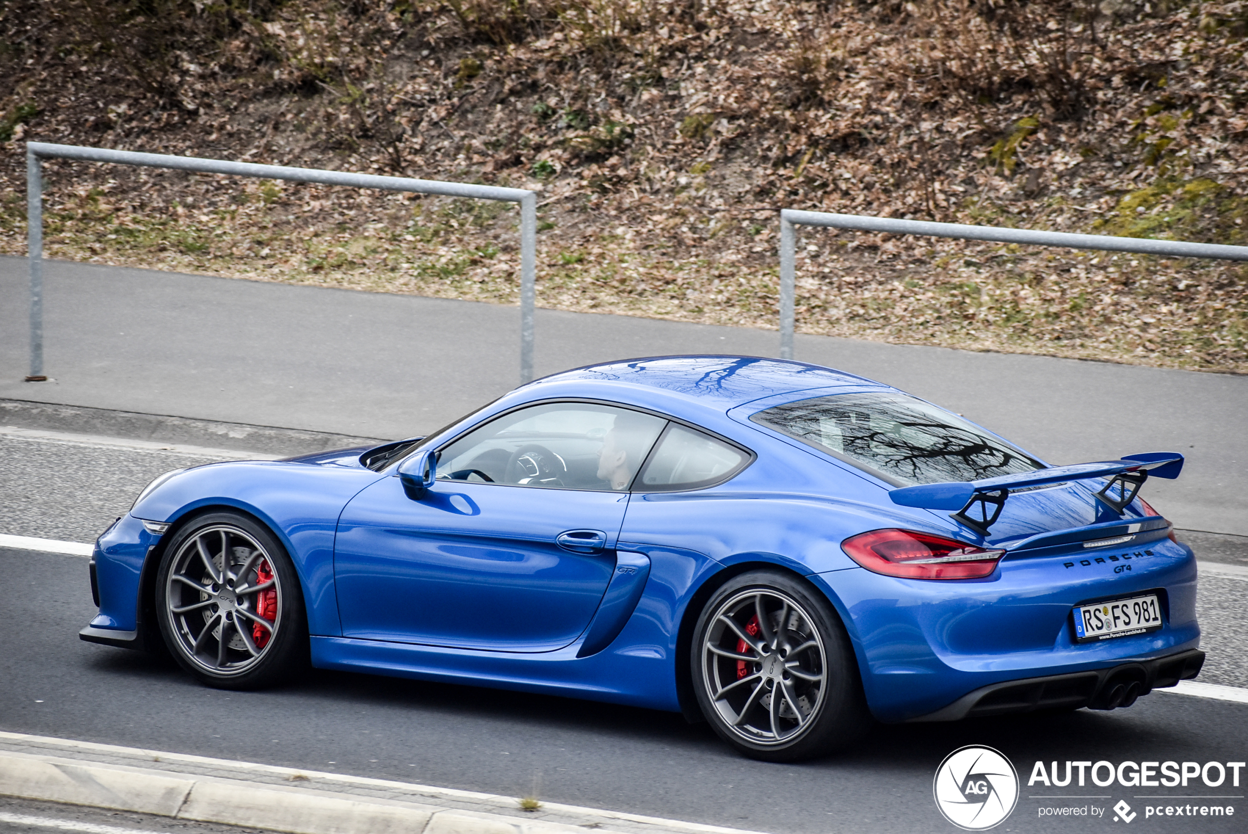 Porsche 981 Cayman GT4