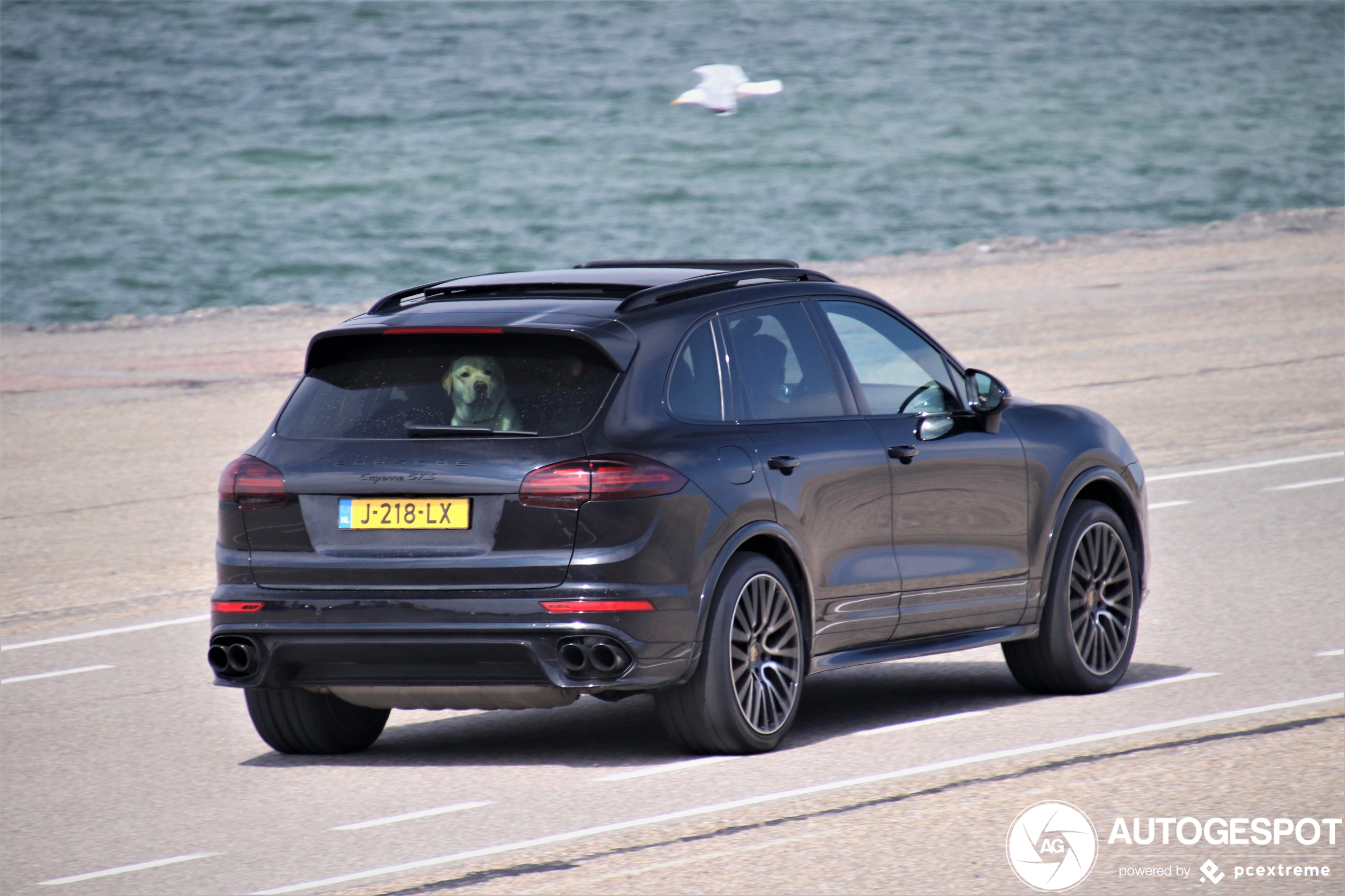 Porsche 958 Cayenne GTS MkII