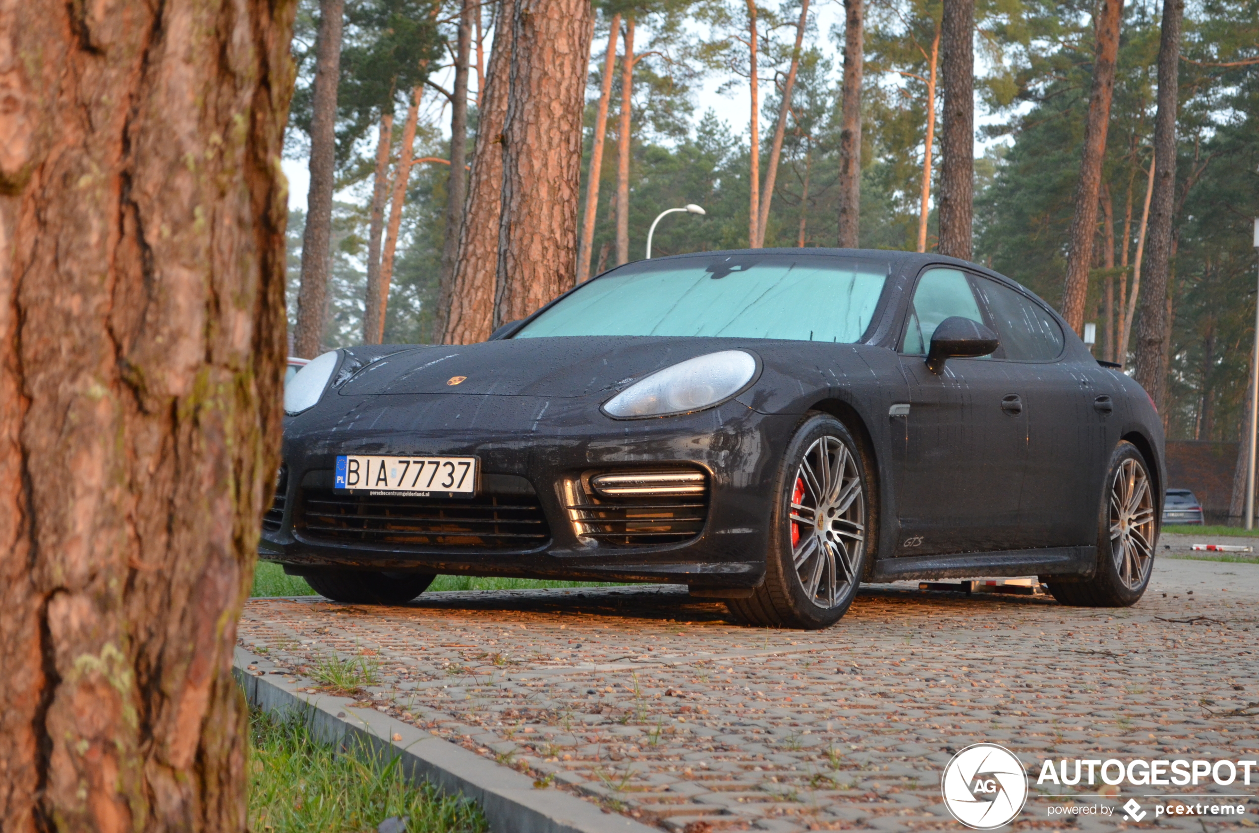 Porsche 970 Panamera GTS MkII