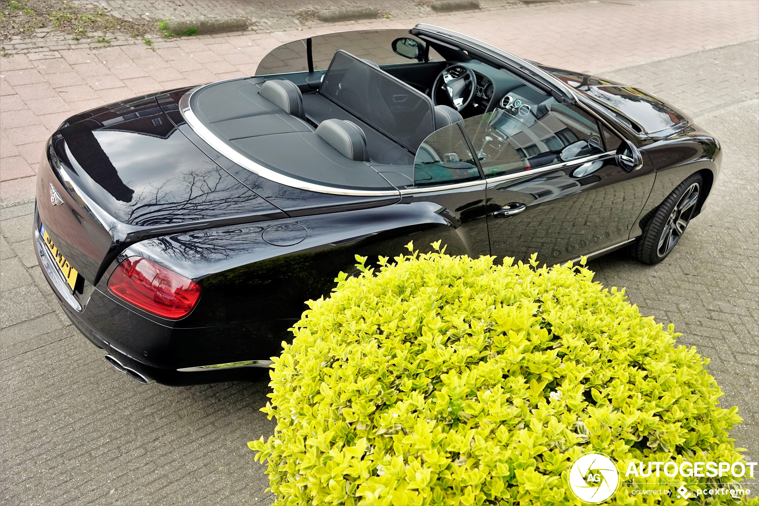 Bentley Continental GTC V8