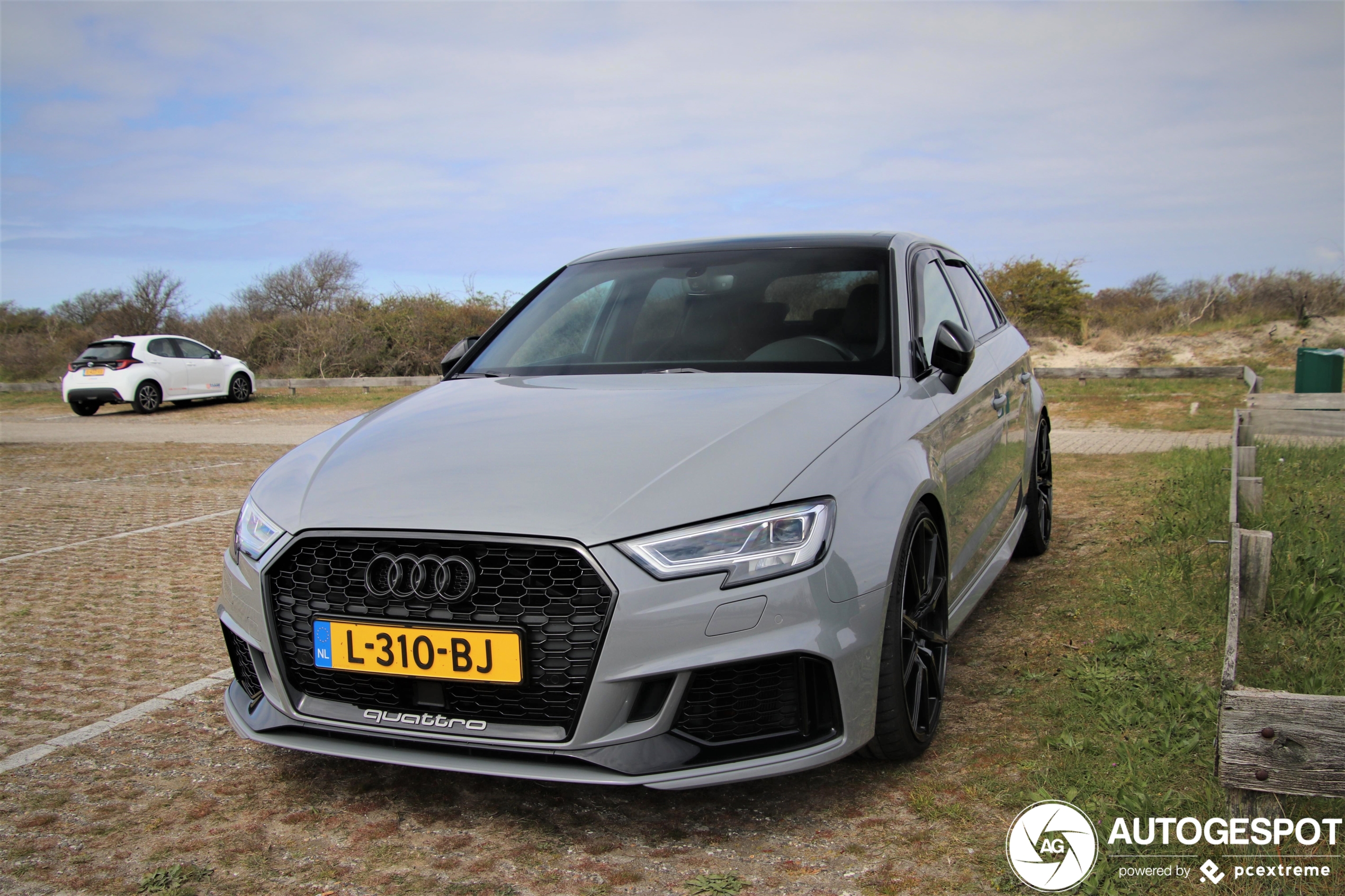 Audi RS3 Sportback 8V 2018