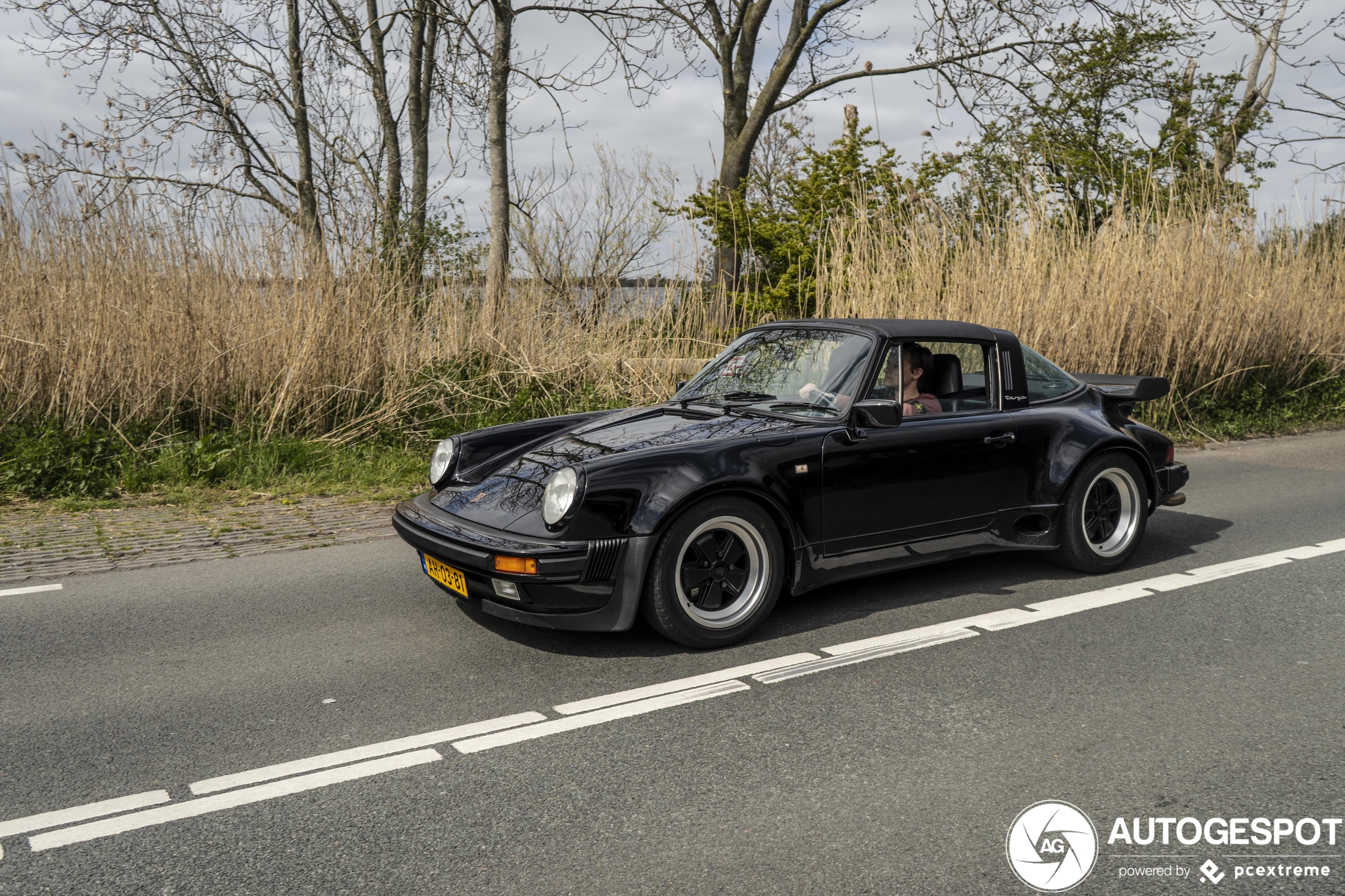 Porsche 930 Turbo Targa