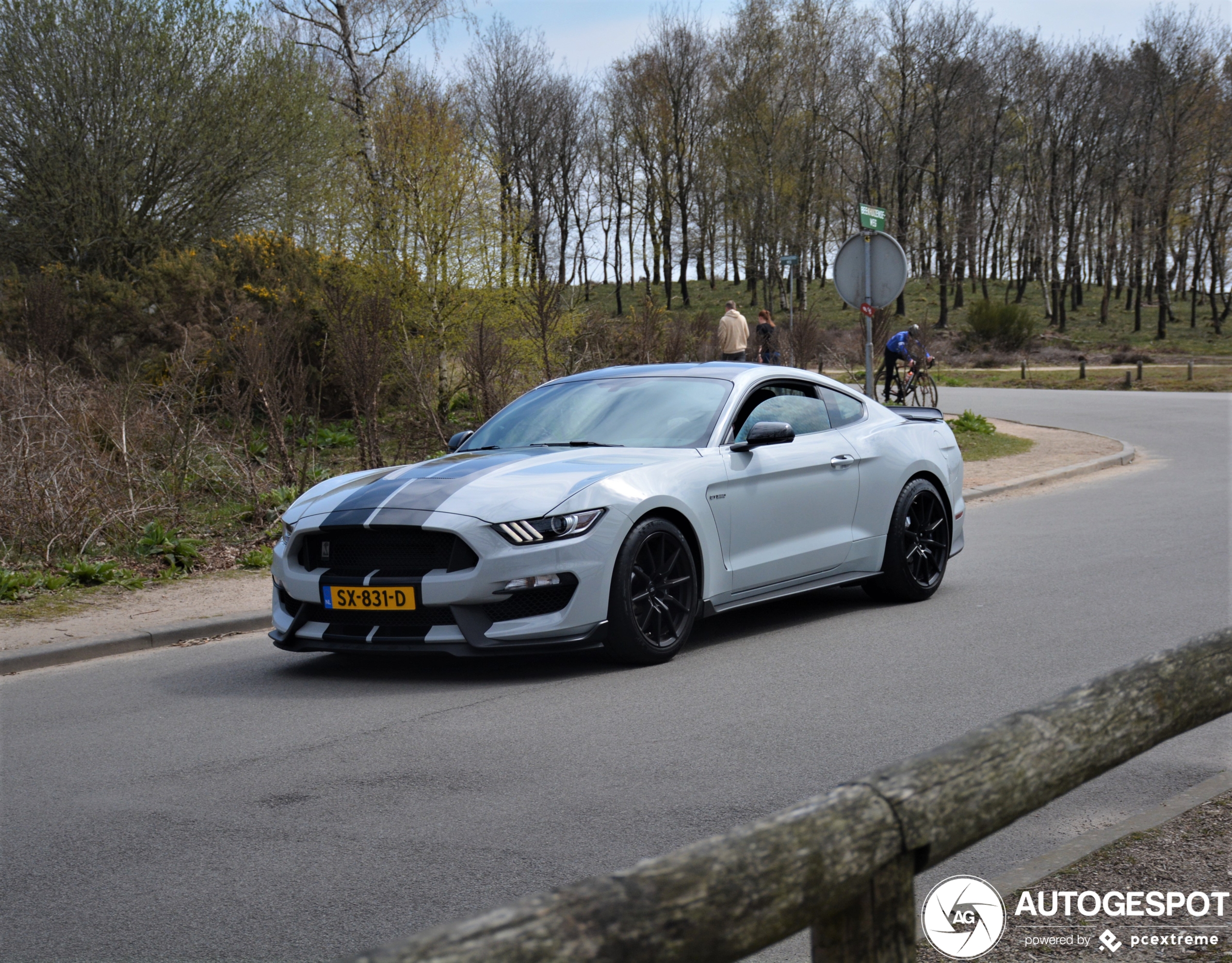 Ford Mustang Shelby GT350 2015