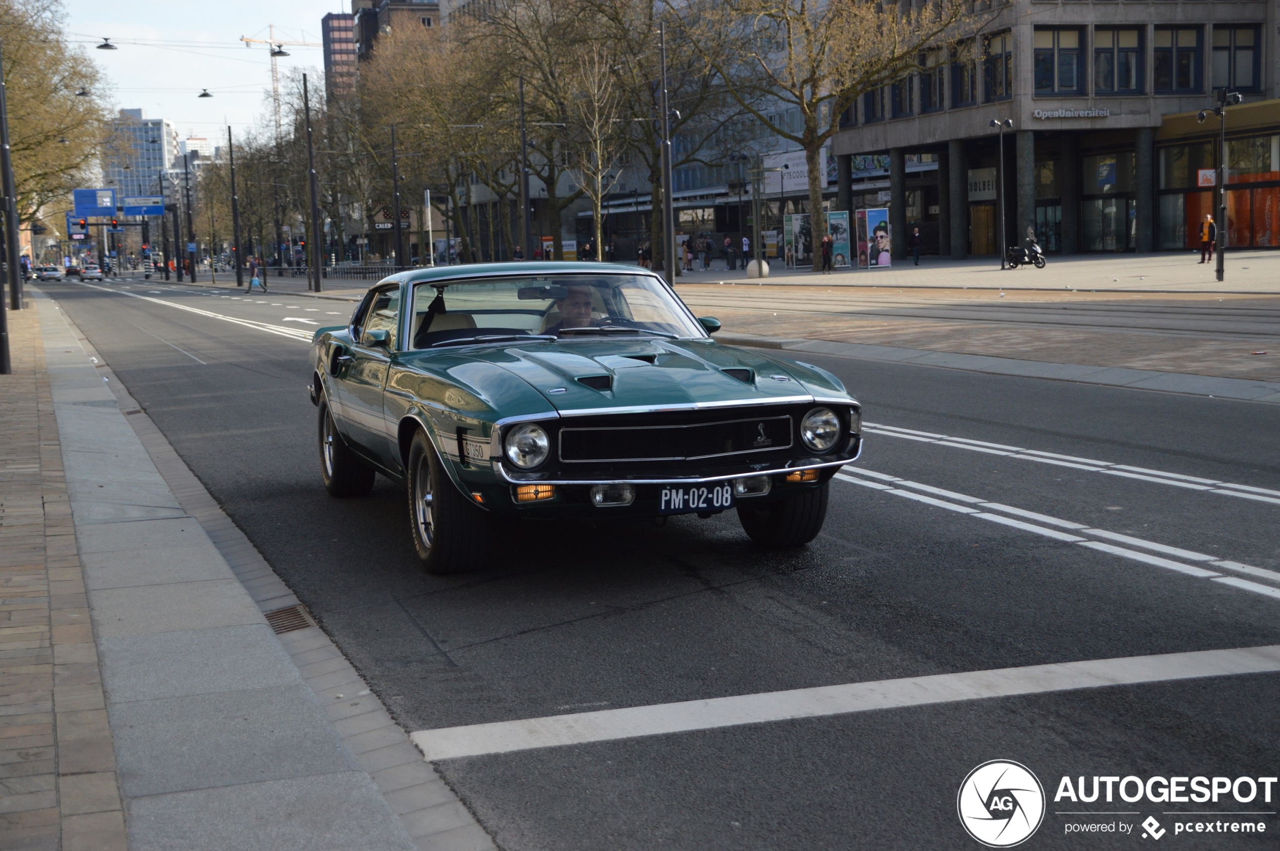 Ford Mustang Shelby G.T. 350 Europa