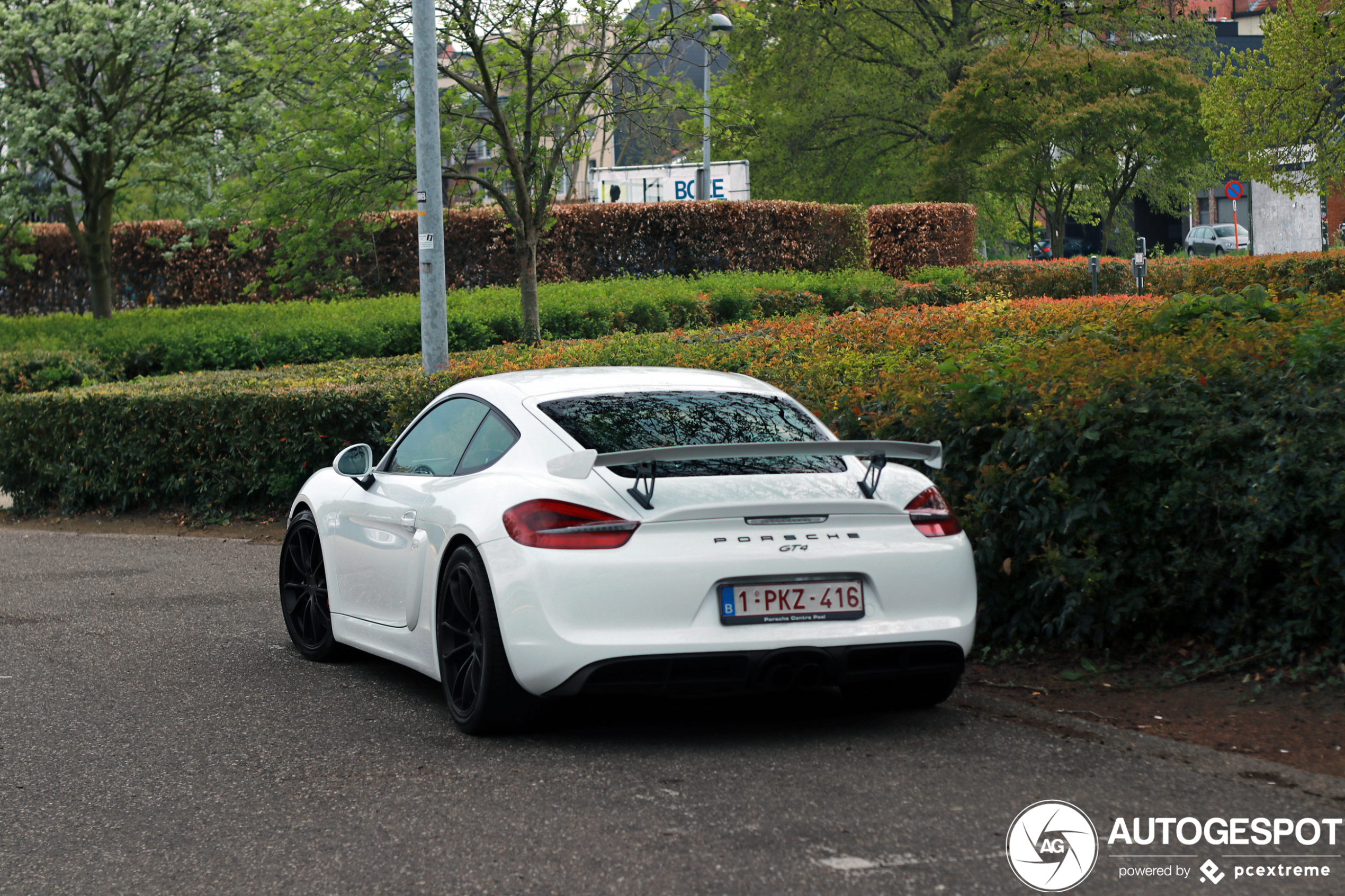 Porsche 981 Cayman GT4