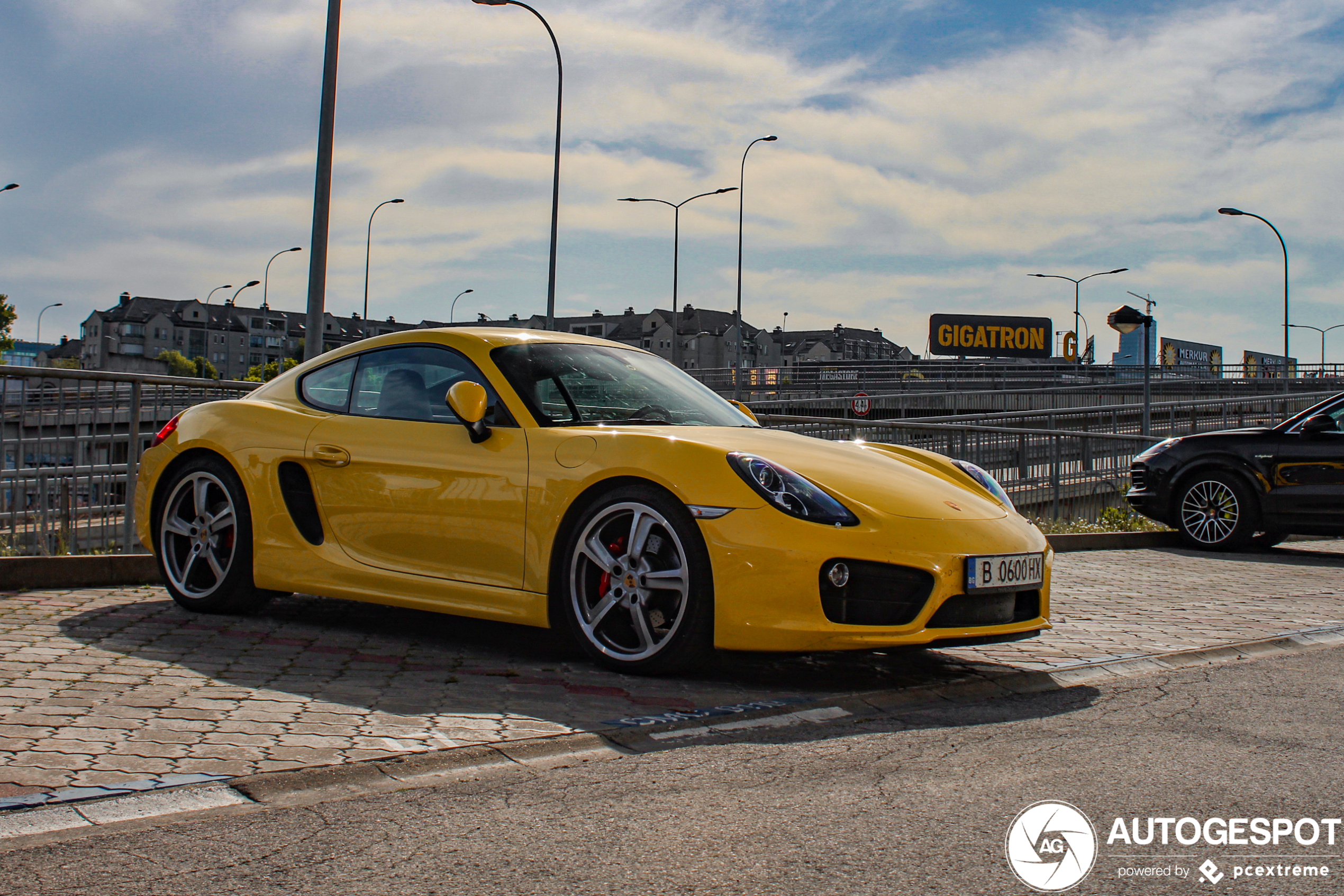 Porsche 981 Cayman S