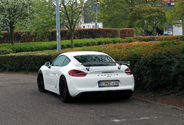 Porsche 981 Cayman GT4