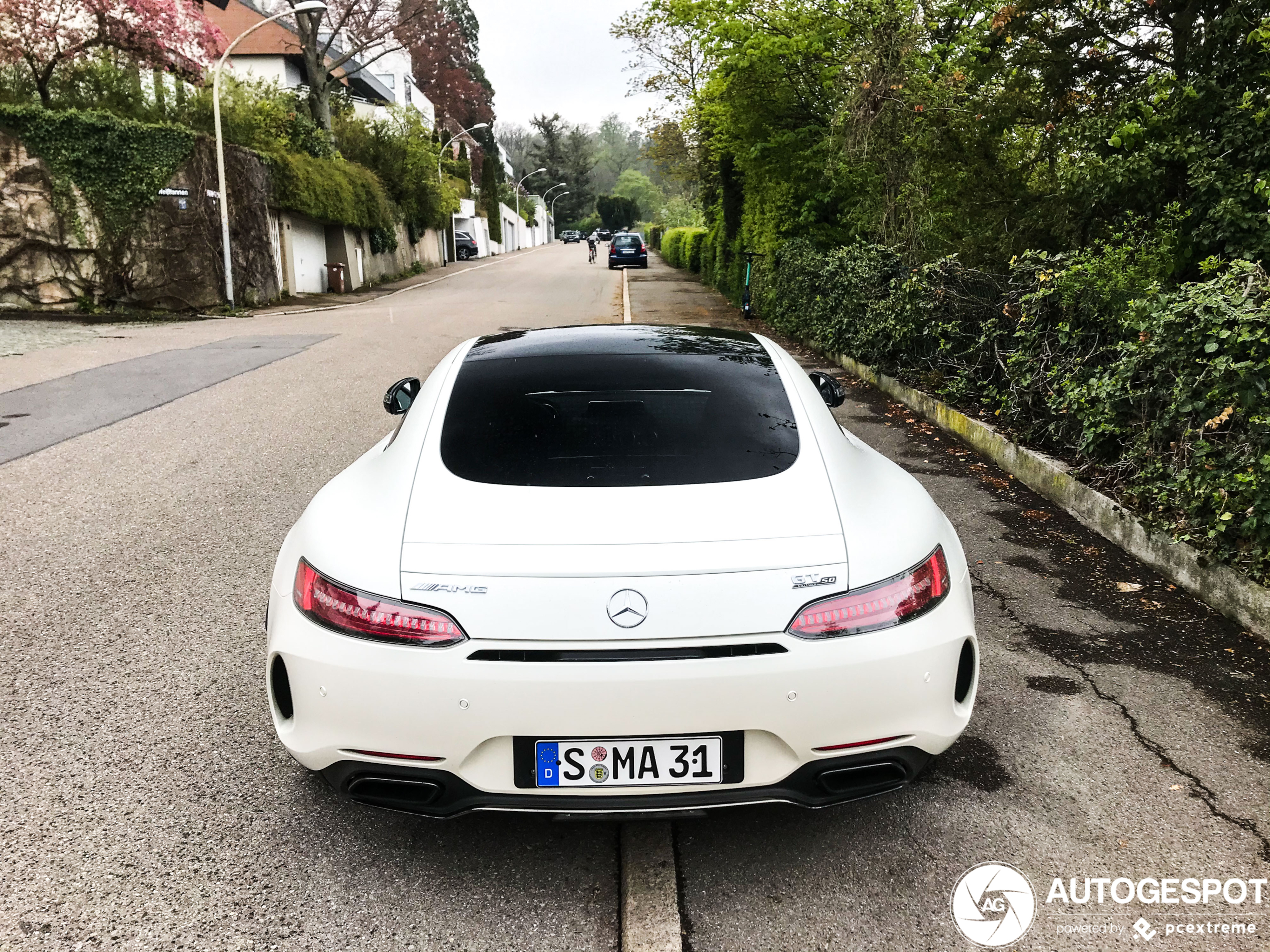 Mercedes-AMG GT C Edition 50 C190 2017