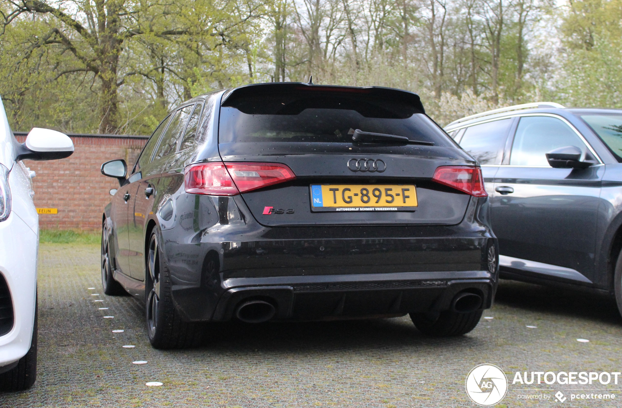 Audi RS3 Sportback 8V