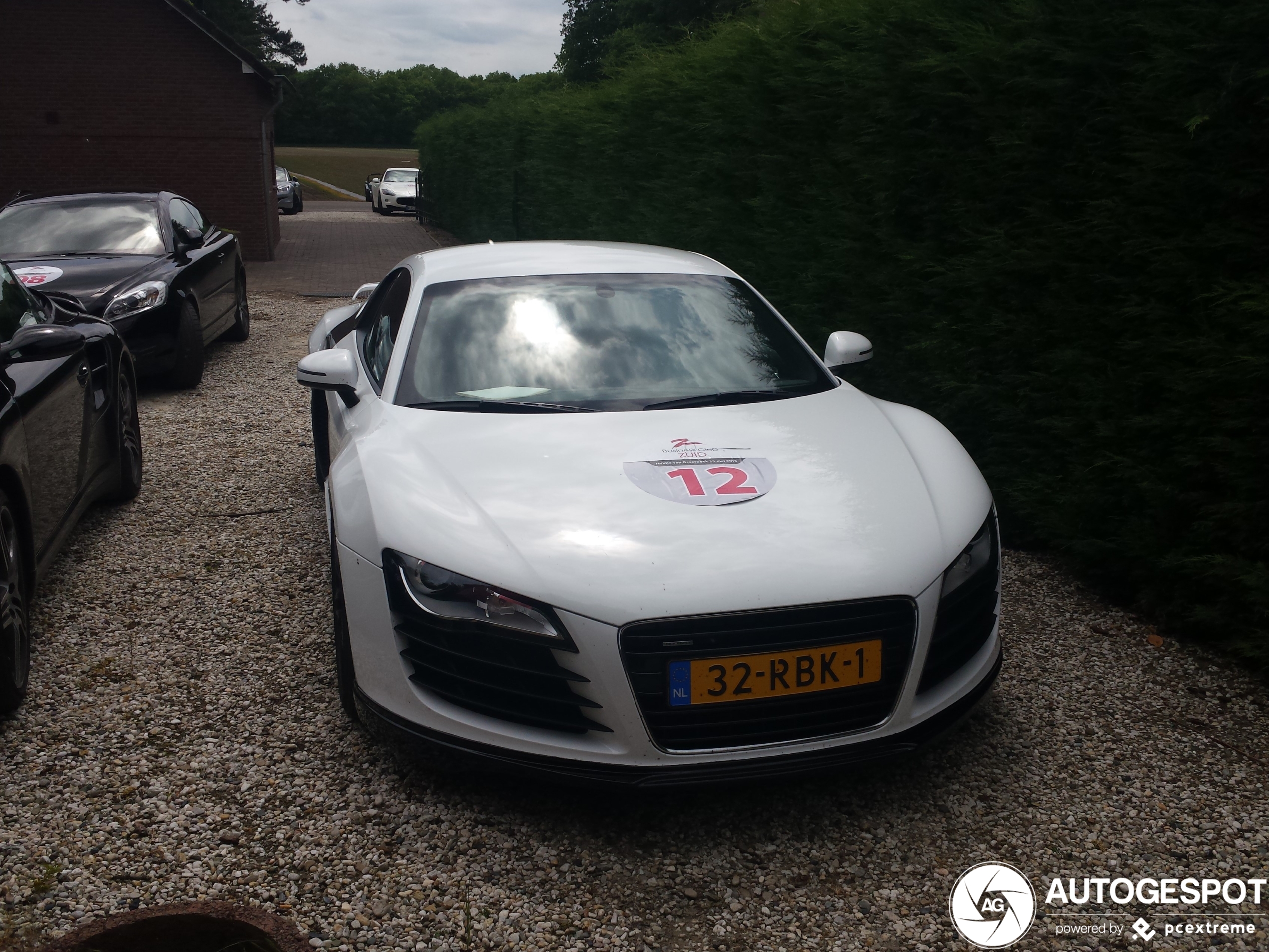 Audi Rieger R8