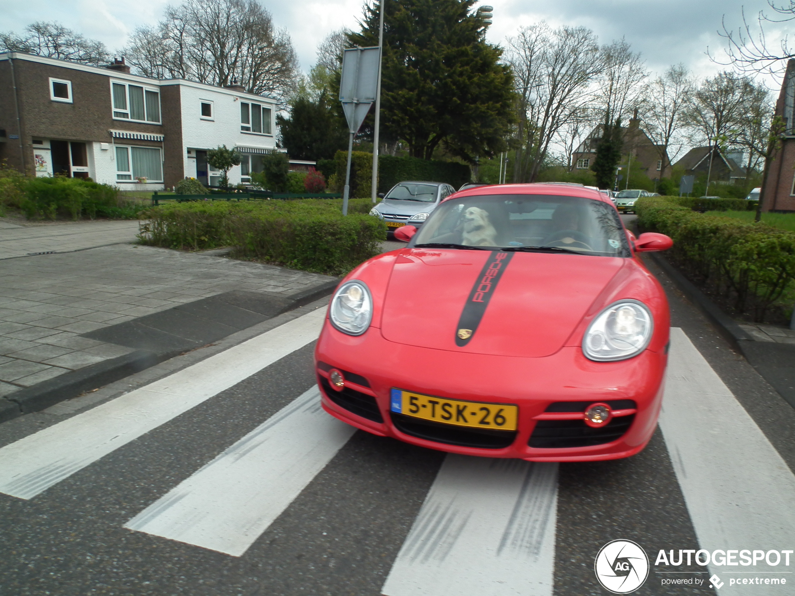 Porsche 987 Cayman S