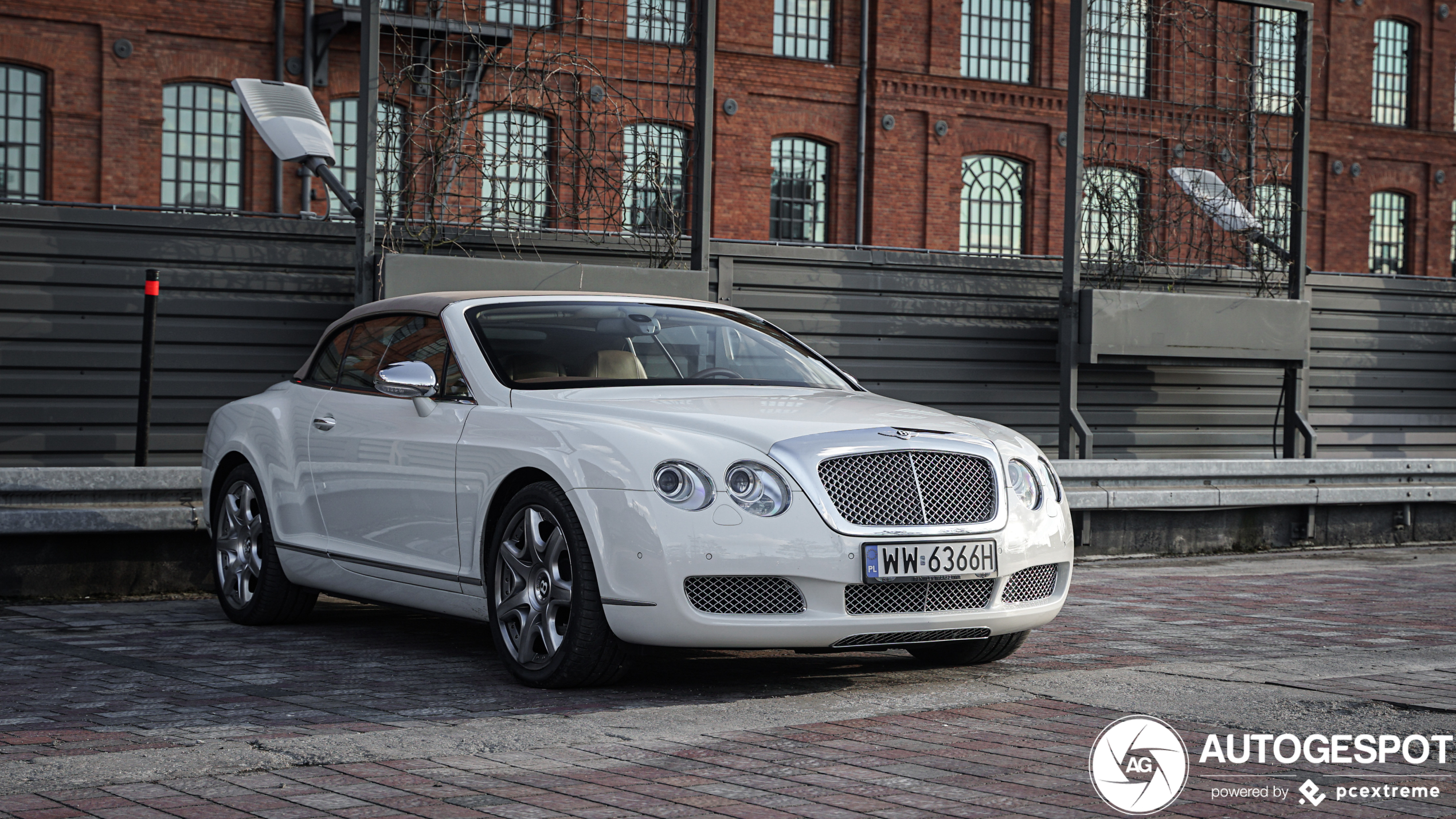 Bentley Continental GTC