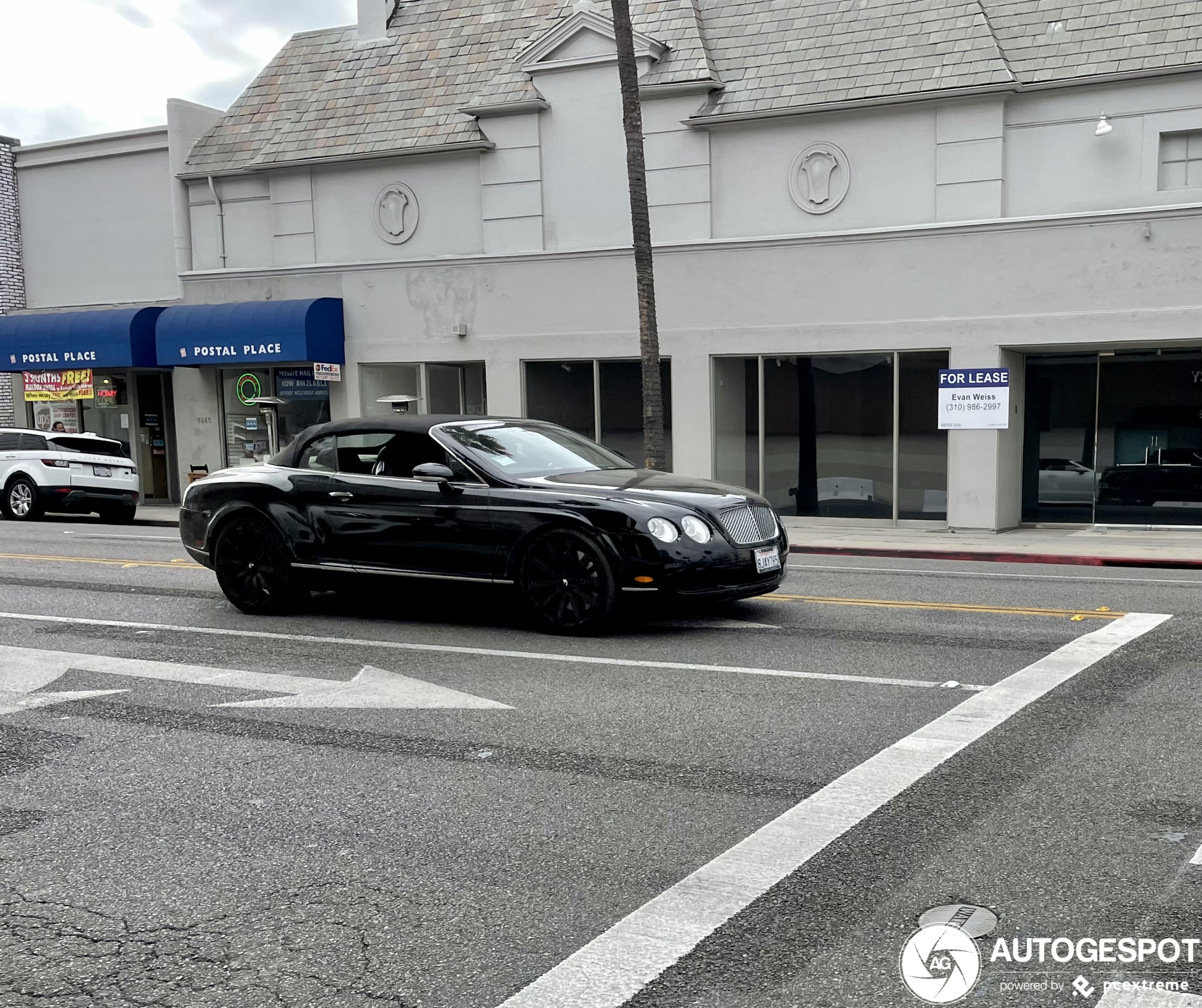 Bentley Continental GTC