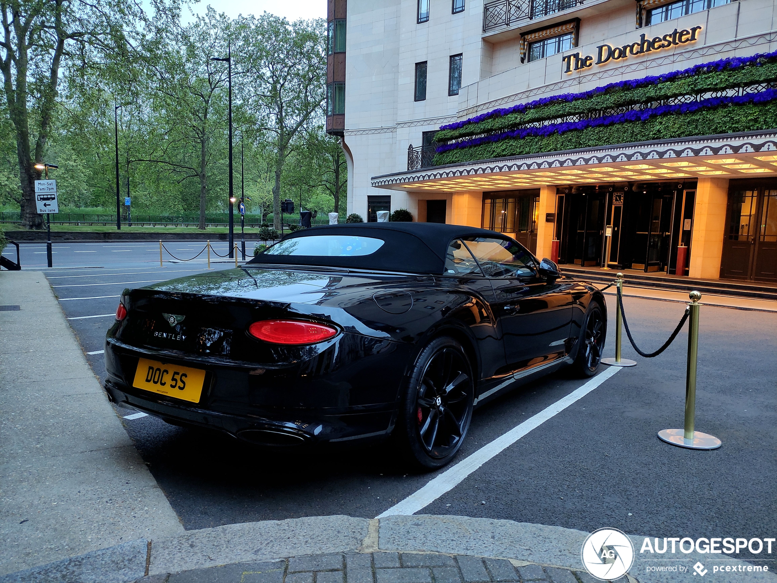 Bentley Continental GTC 2019 First Edition